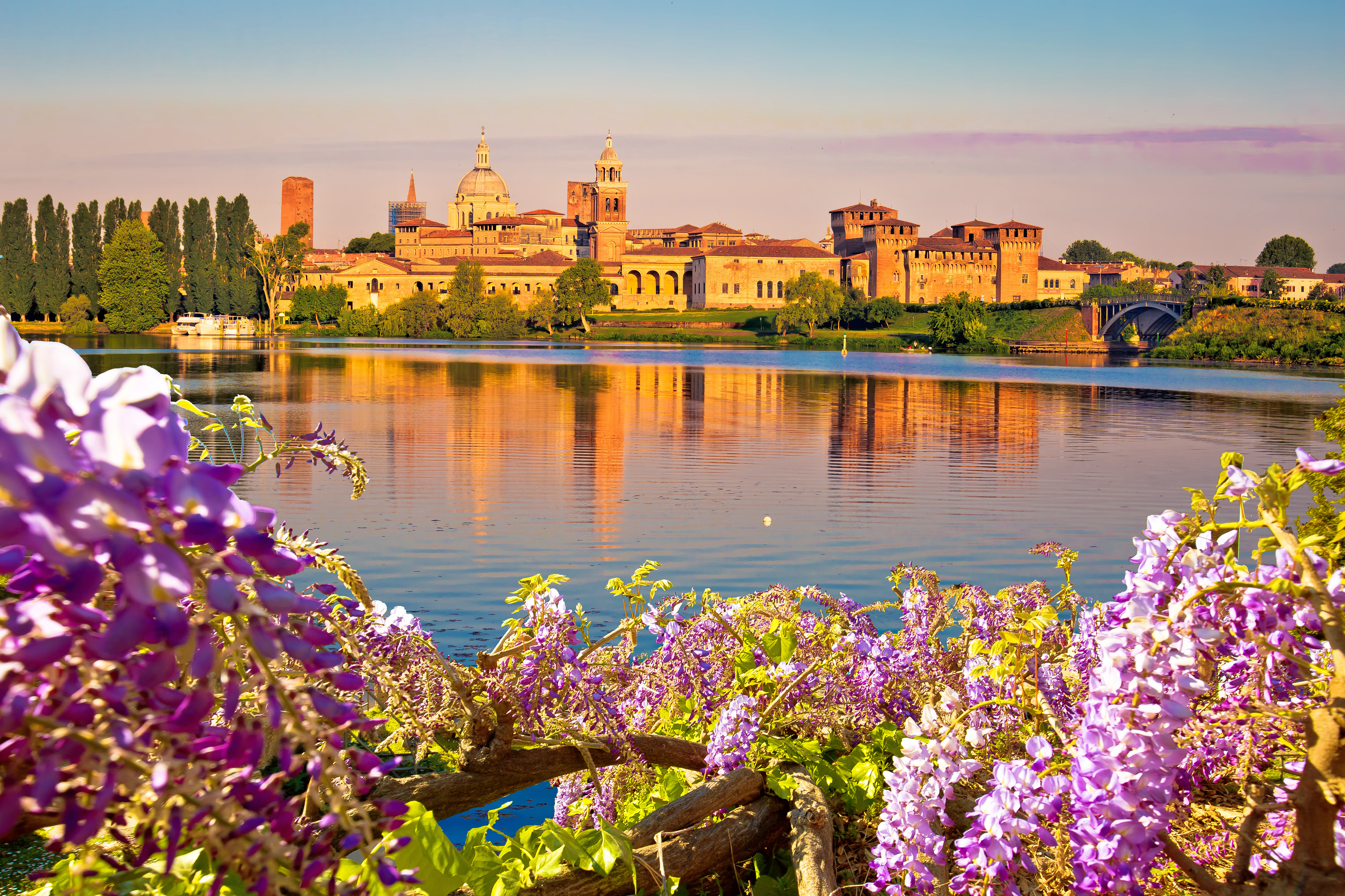 Panoramaudsigt over UNESCO-byen Mantua ved soeopgang med lilla blomster og soereflektion