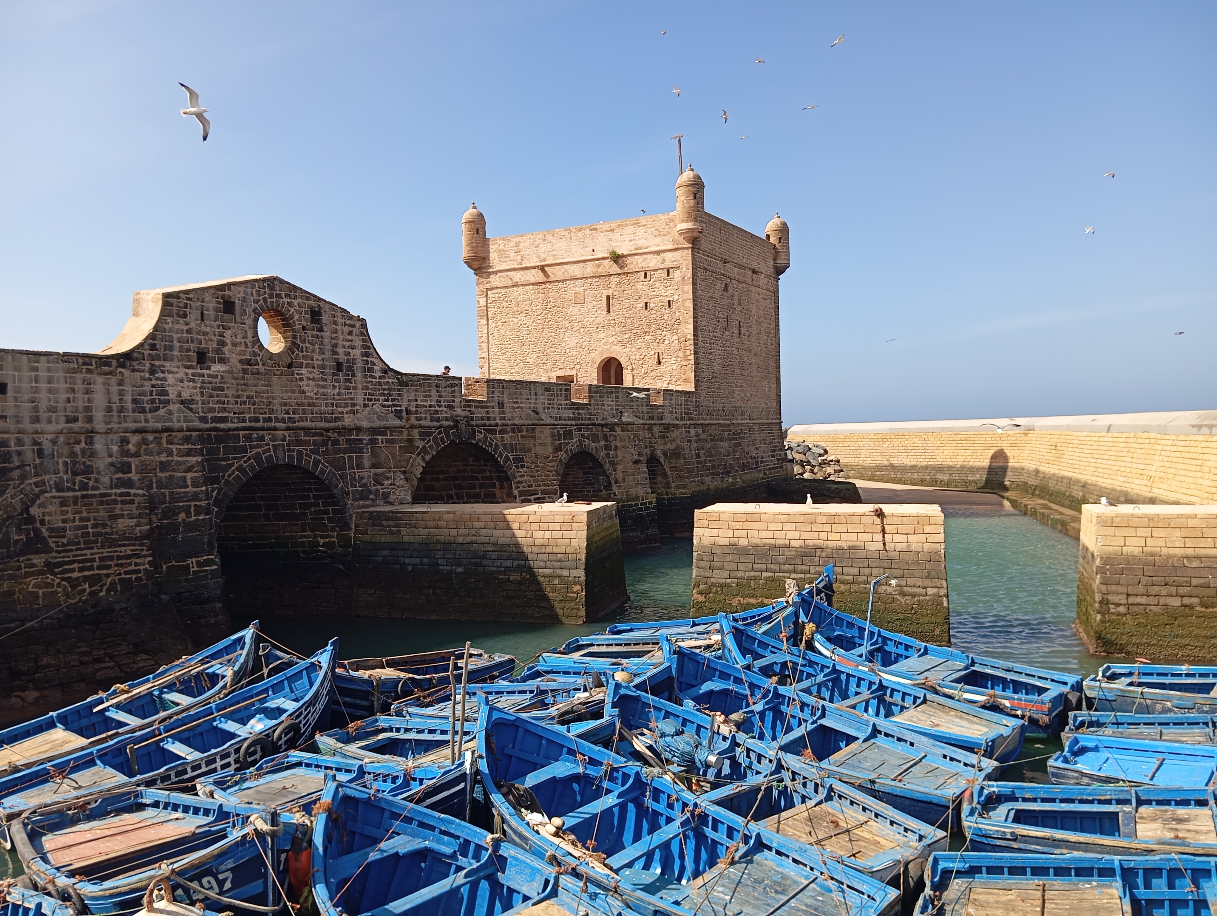 Charmerende fiskerihavn i Essaouira med farverige blå både og gammel befæstning