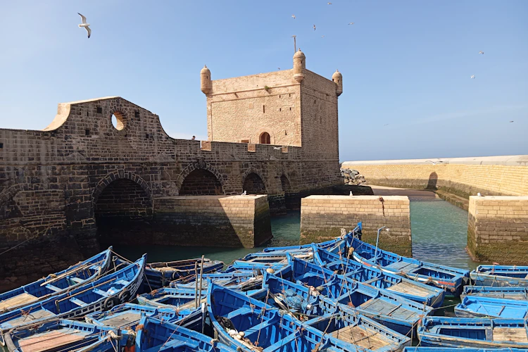 Charmerende fiskerihavn i Essaouira med farverige blå både og gammel befæstning