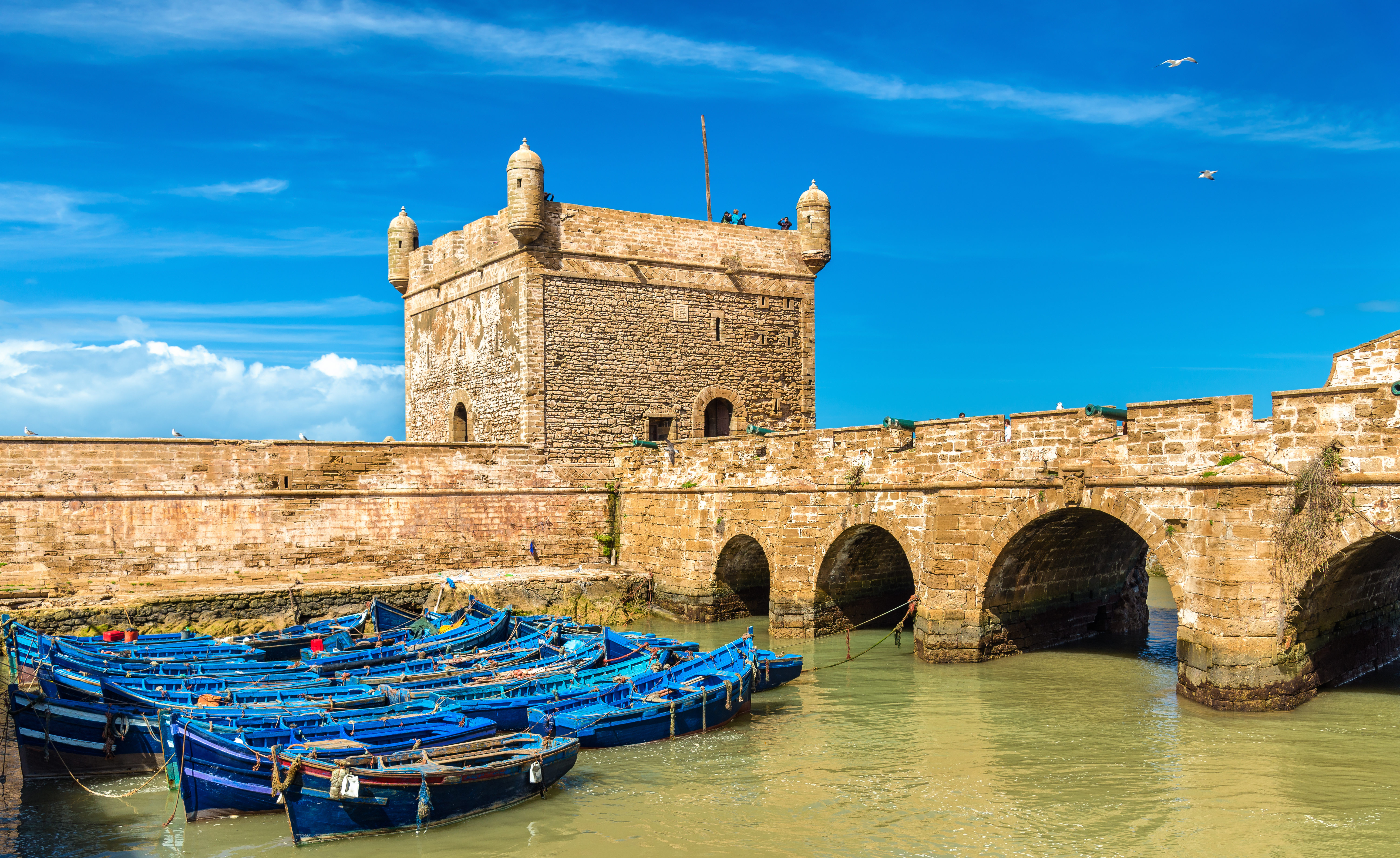 UNESCO verdensarv Essaouira med middelalderligt fort og farverige fiskerbåde