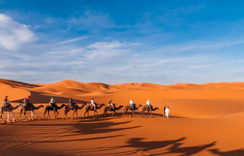 Gruppe af turister rider på kameler gennem de smukke sanddyner i Sahara ørkenen i Marokko
