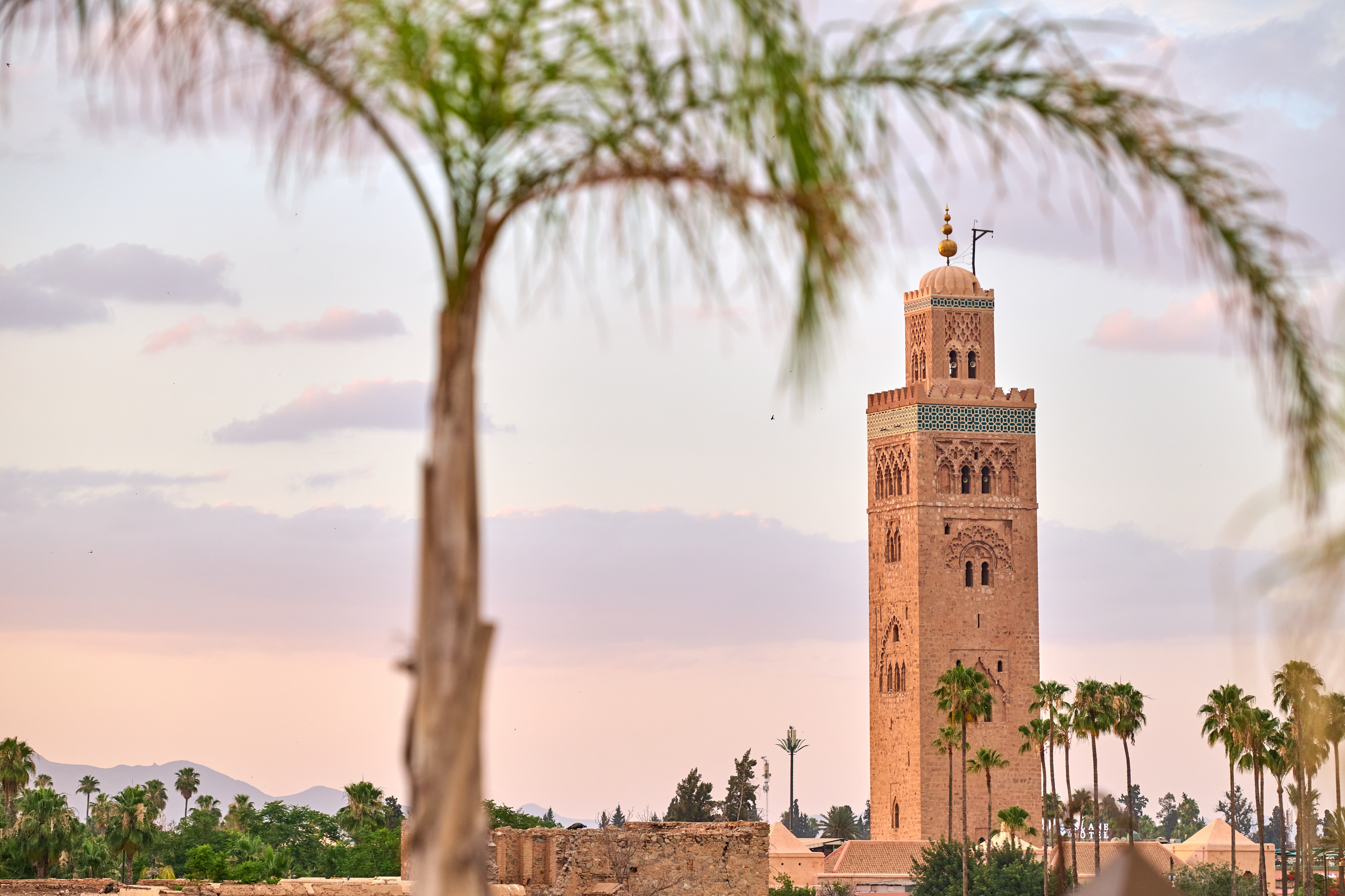 Islamisk minaret og palmetræer i det smukke Marrakech, Marokko