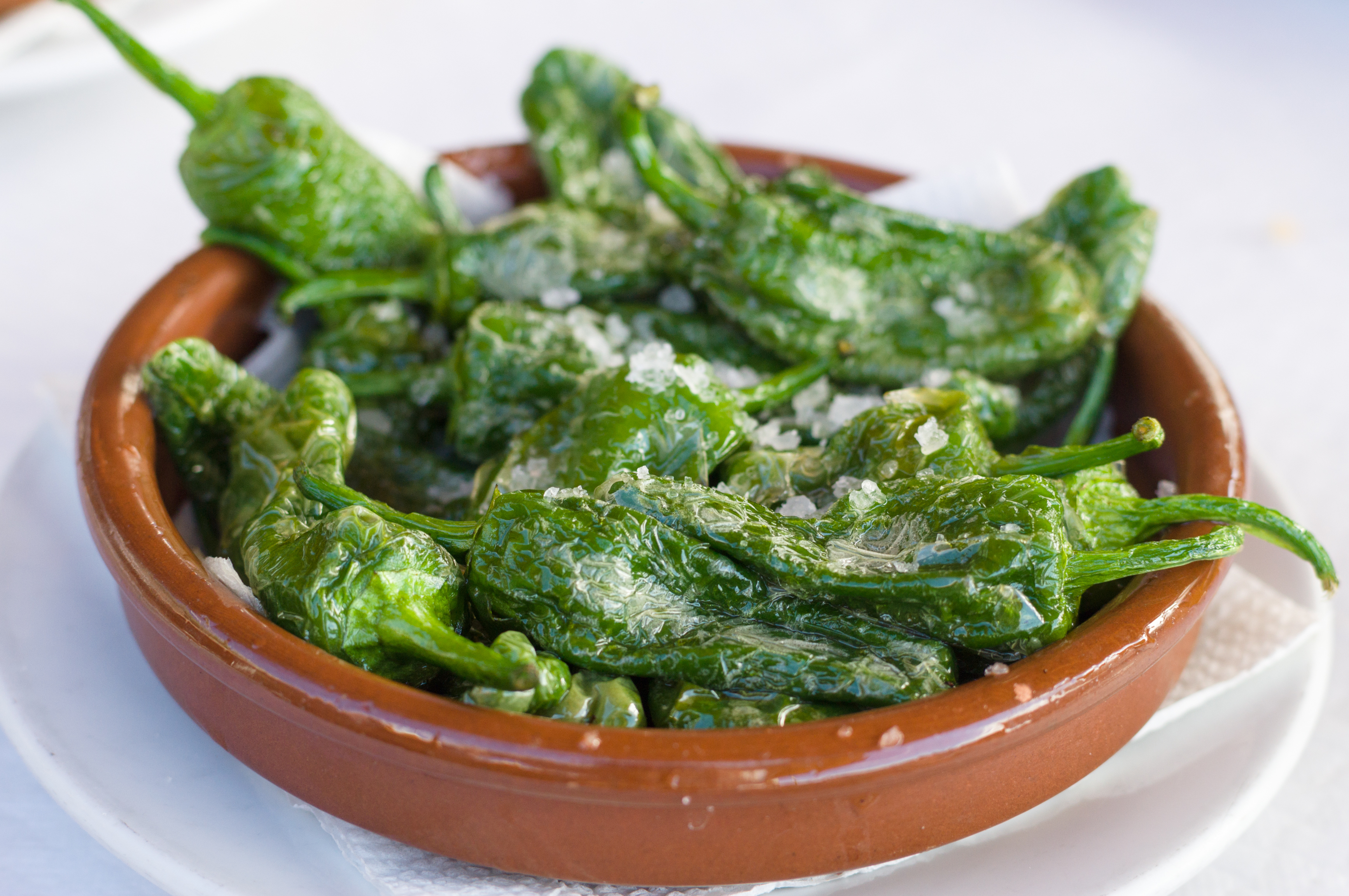Mediterran specialitet - spanske Padron peberfrugter tilberedt som traditionelle tapas