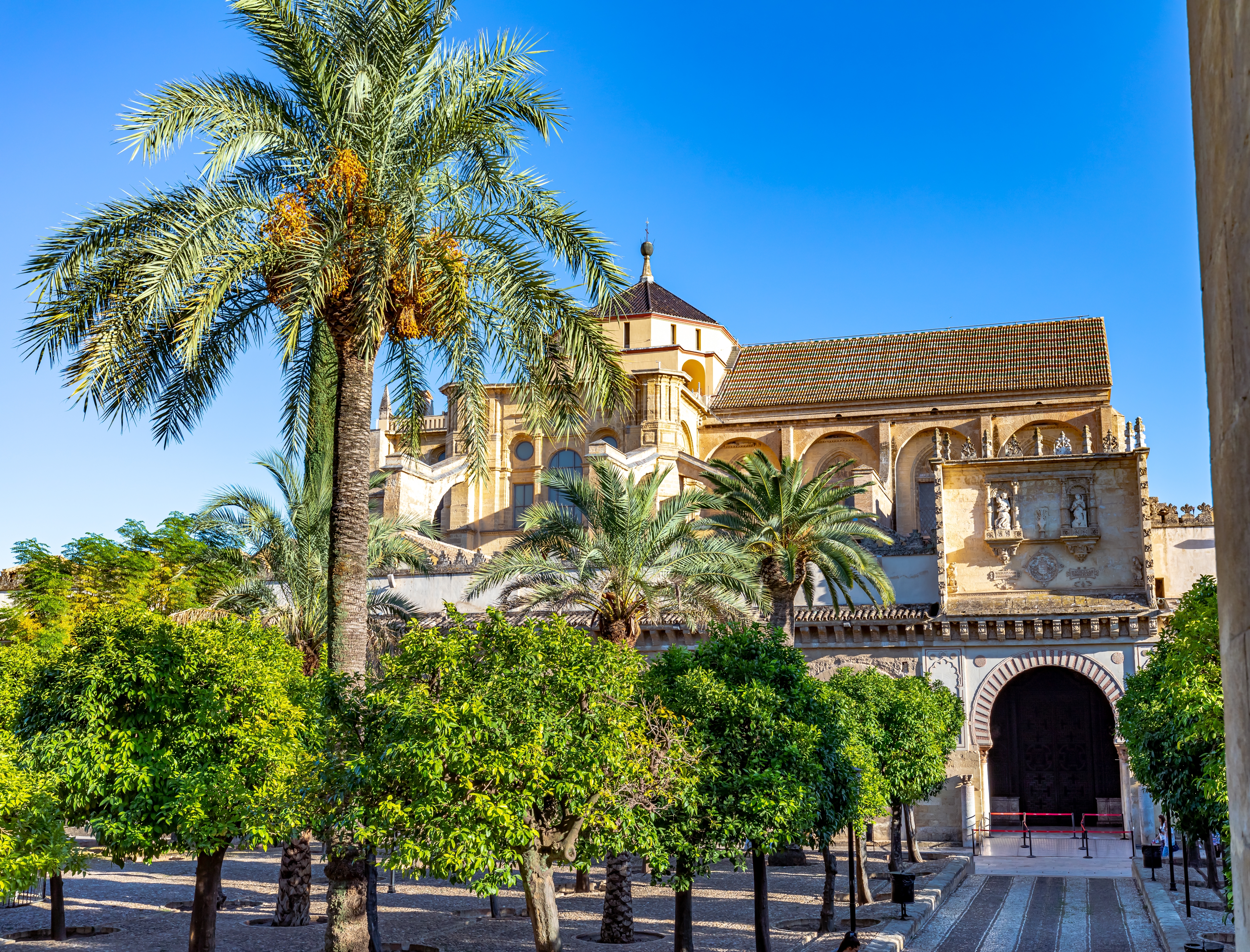 Córdobas berømte Mezquita med smuk maurisk og kristen arkitektur, omgivet af palmer og grønne appelsintrær på en solrig dag i Spanien