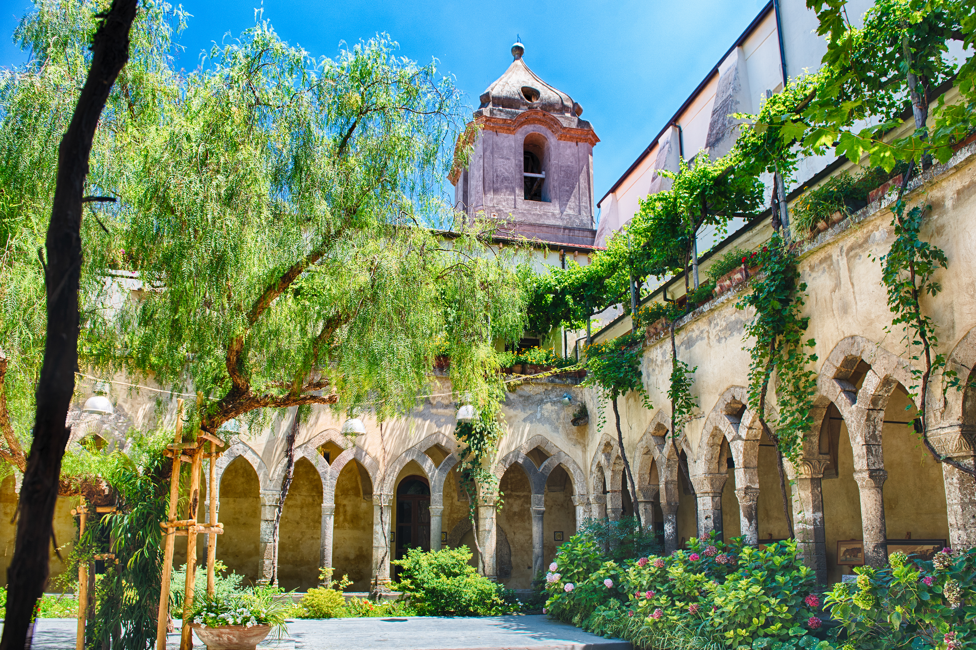 Malerisk klostergård i San Francesco d'Assisi kirken i Sorrento med historiske stensøjler og grønt gårdmiljø