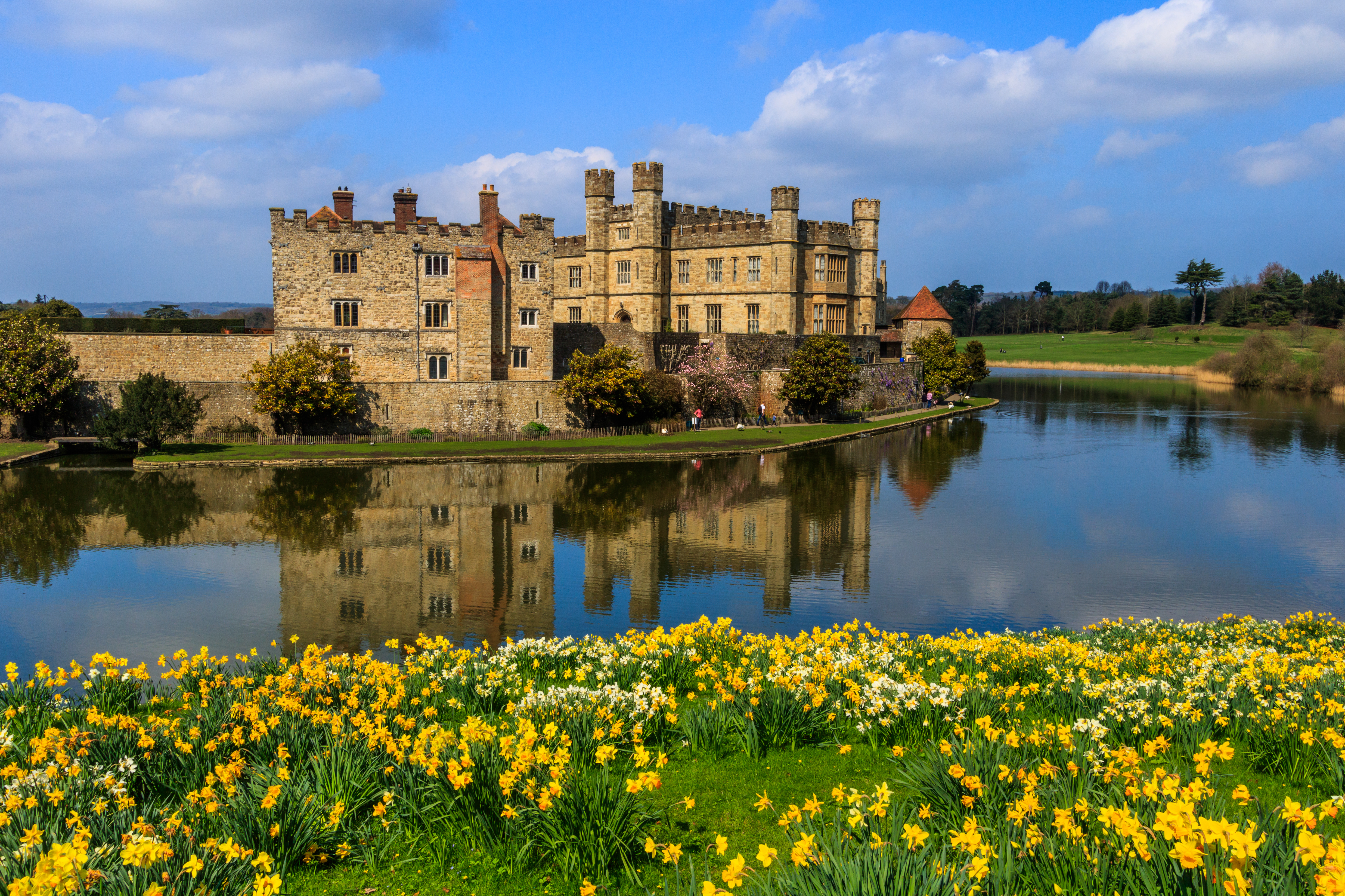 Romantisk Leeds Castle omgivet af sø og forårens gule påskeliljer