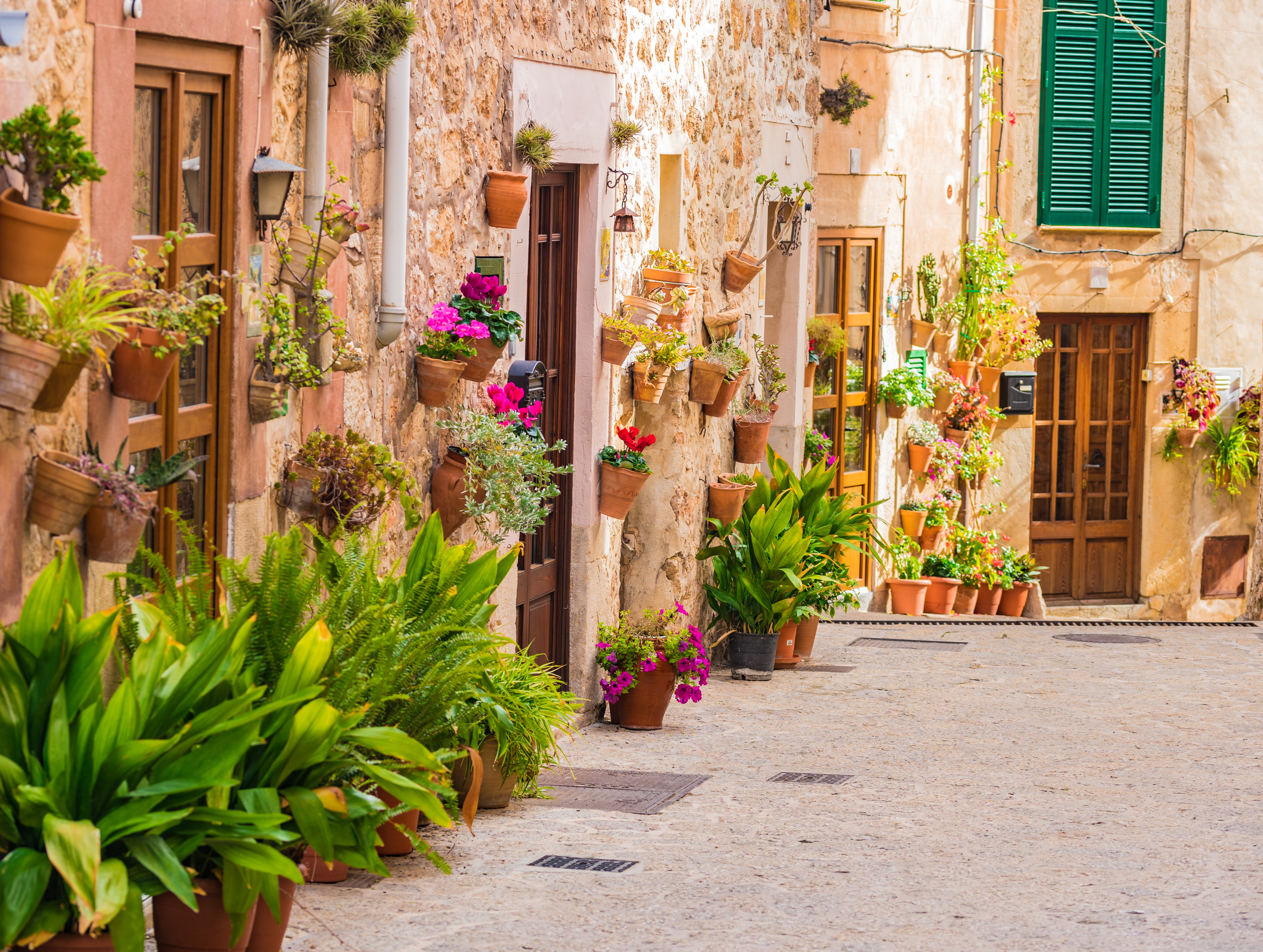 Smuk gade i Valldemossa landsby på Mallorca med farverige blomster og traditionel spansk arkitektur