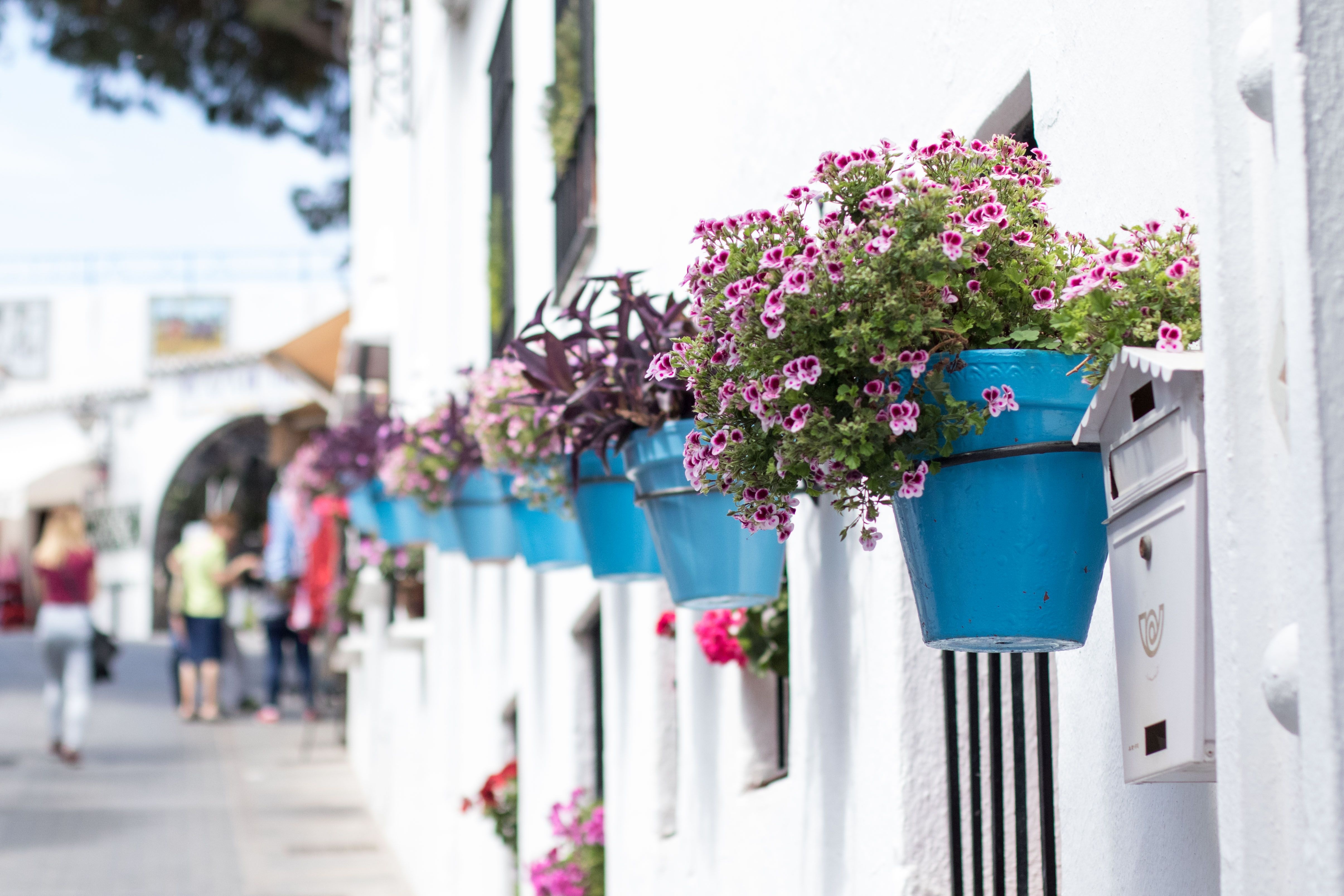 Smuk gade i Mijas Pueblo med blå blomsterkrukker og lyserøde geranier langs en hvidkalket mur i det sydlige Spanien