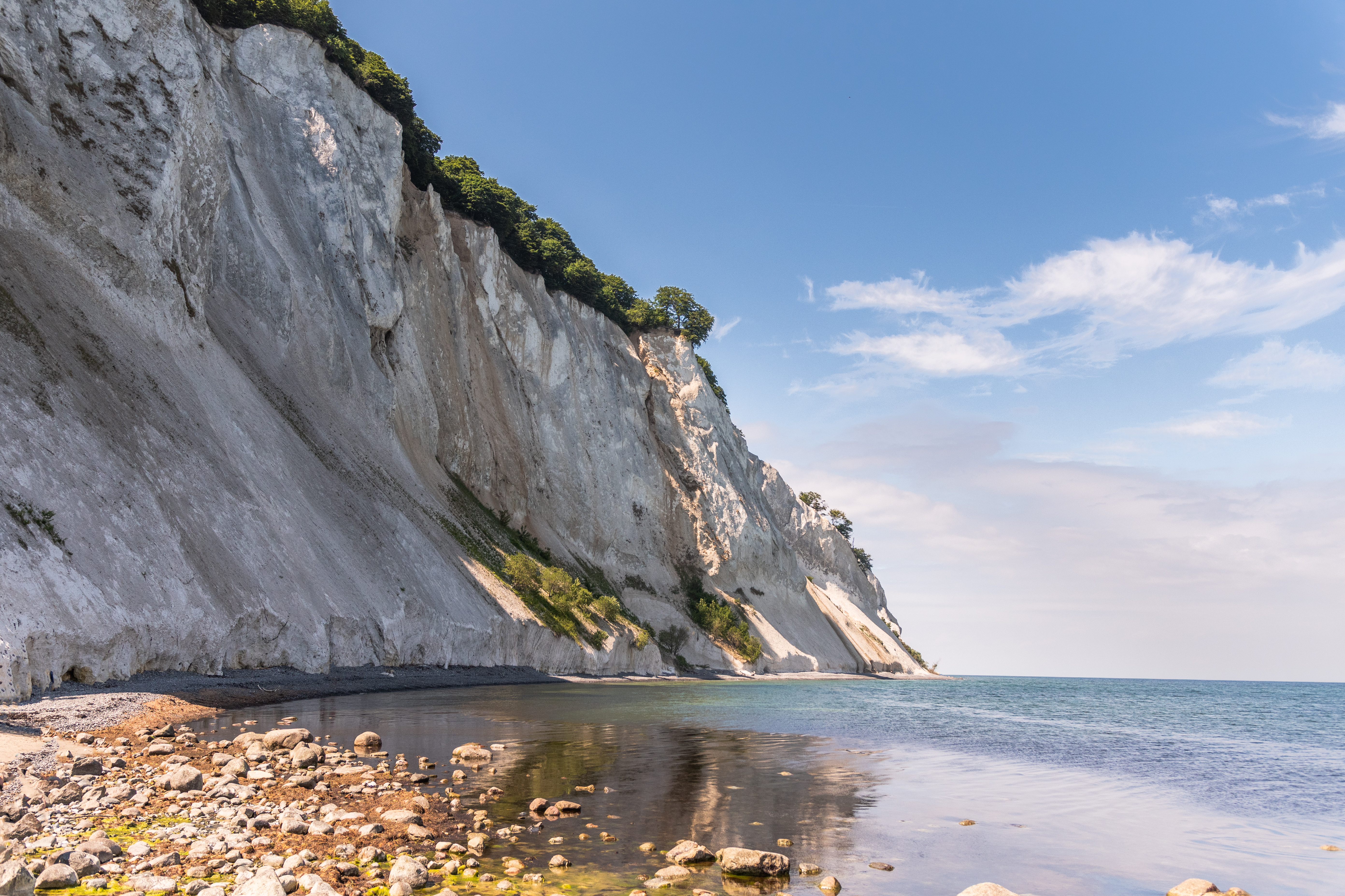 Imponerende hvide kridtklipper ved Møns Klint på Møn med blåt hav og grønne træer langs klintens top en sommerdag