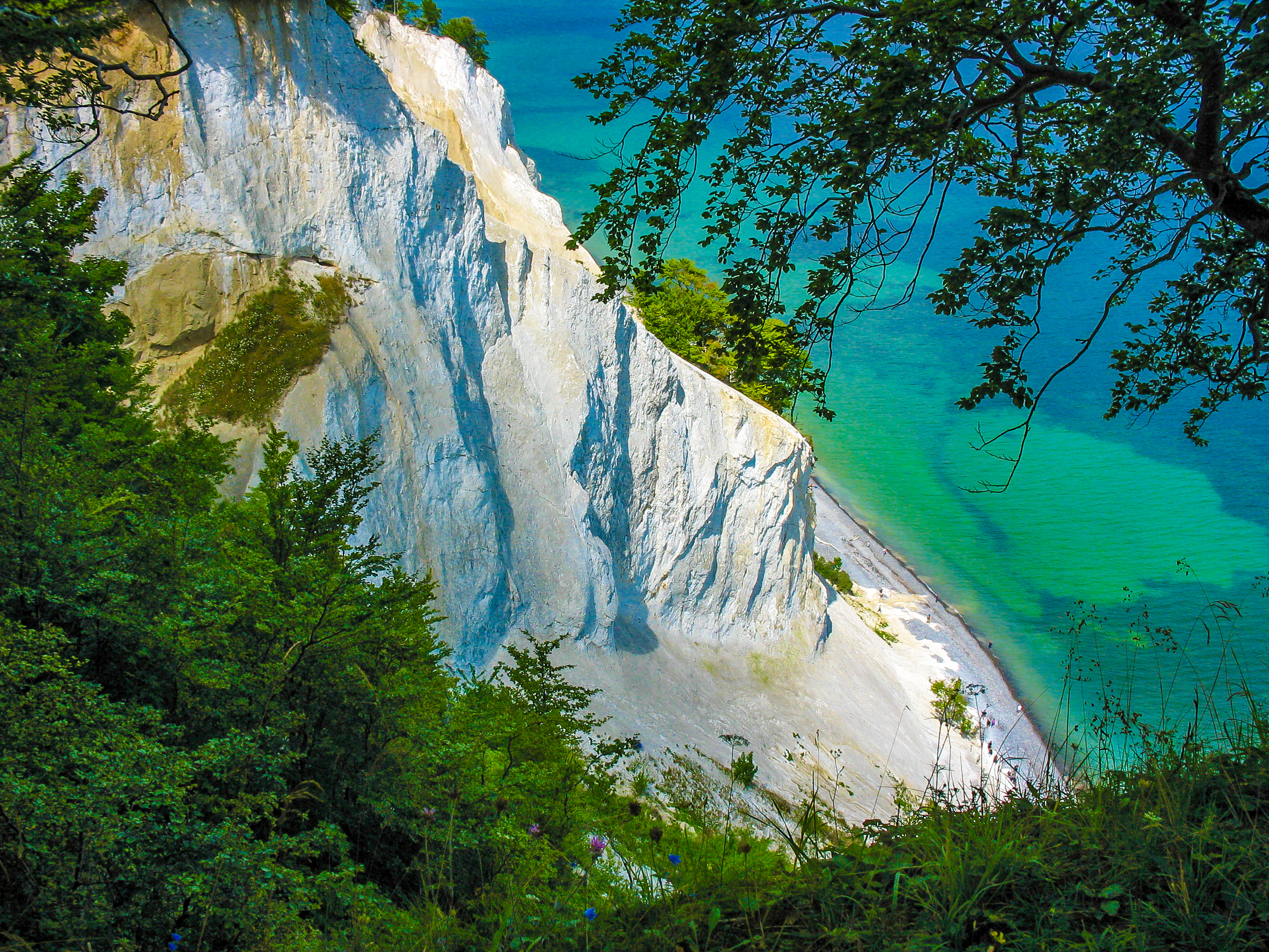 Mons Klint naturpark med imponerende hvide kridtskrænter og blågrønt hav