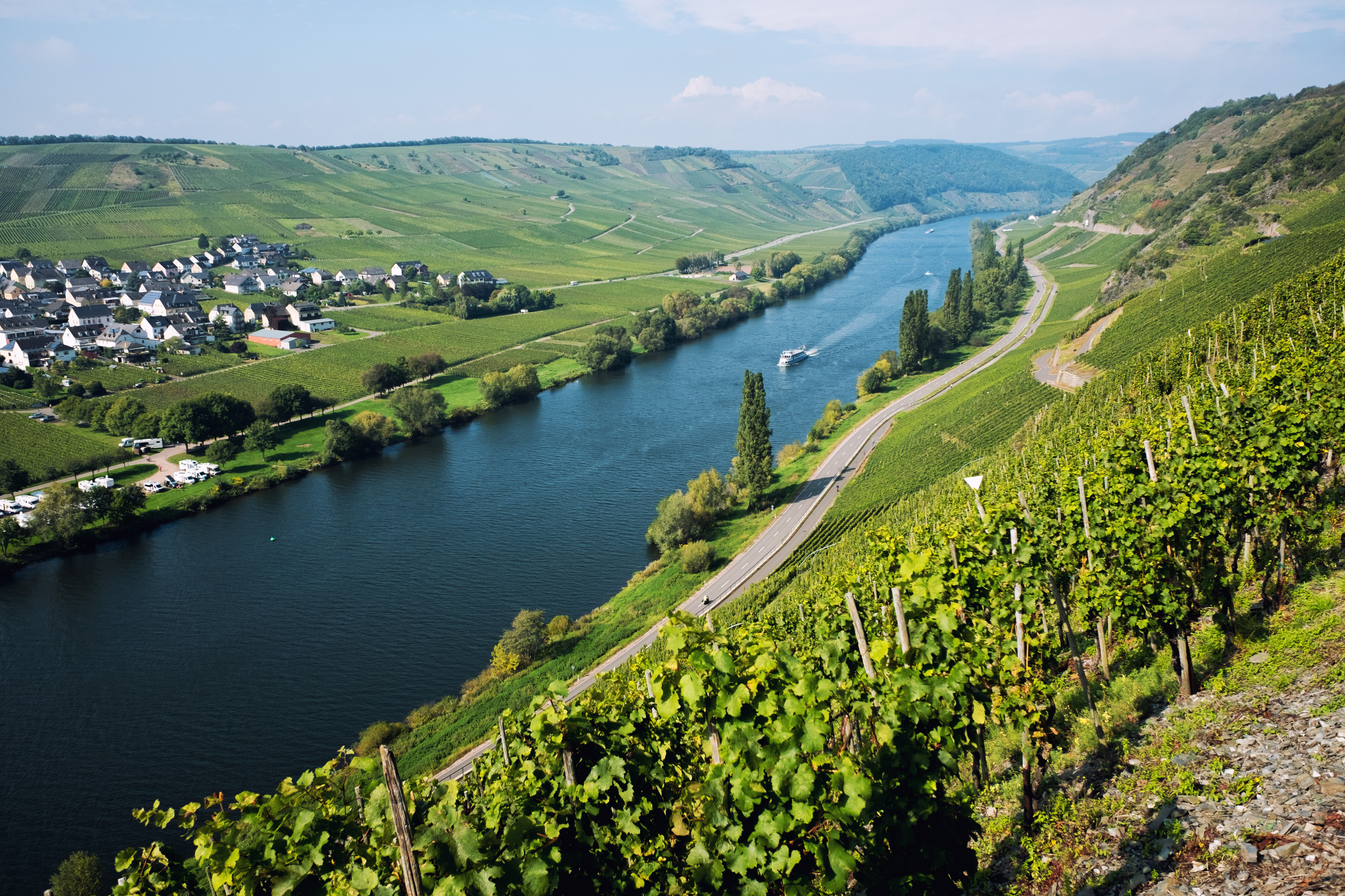 Idyllisk tysk vinlandskab langs Mosel-floden med grønne marker og charmerende landsby