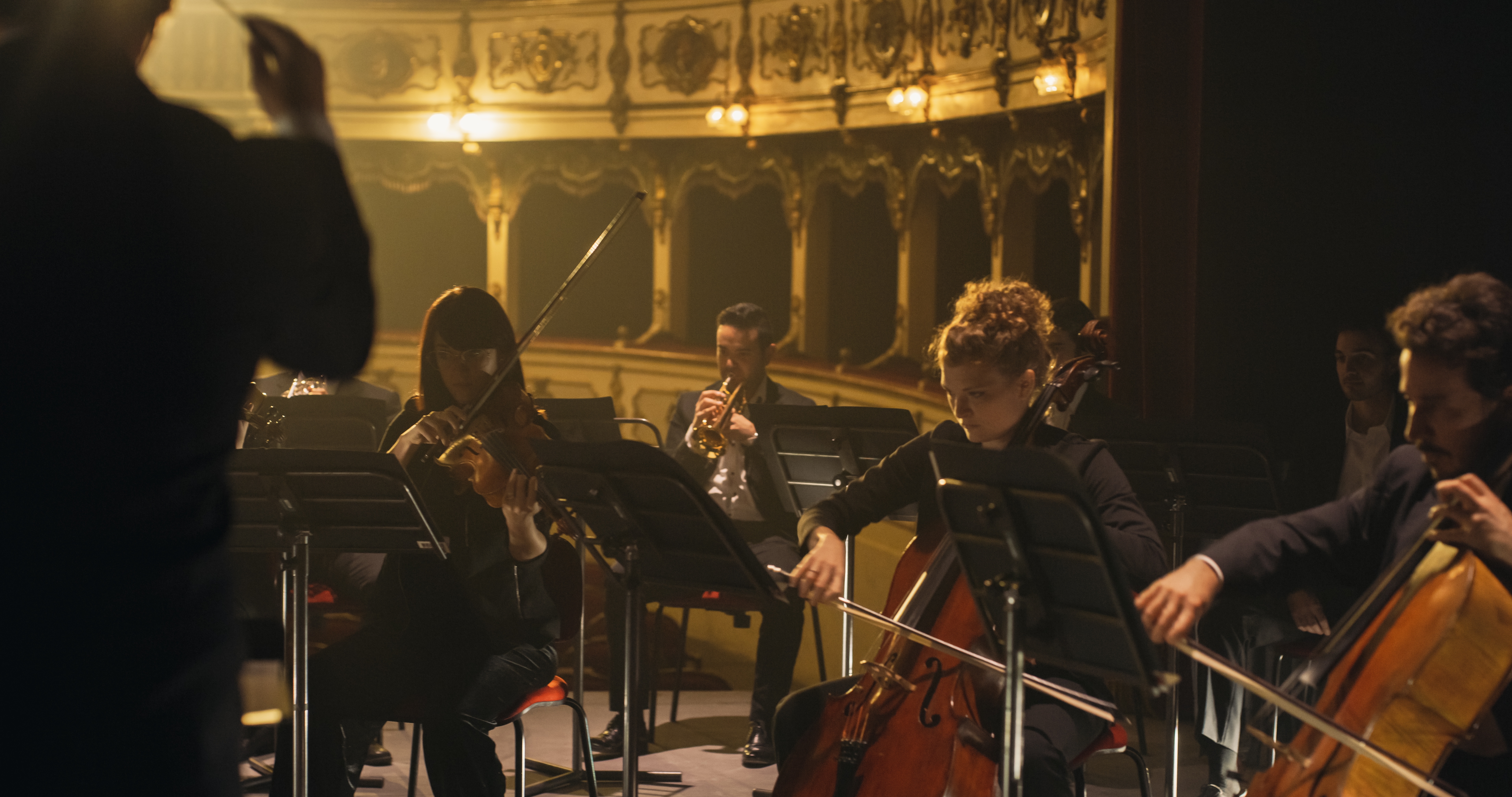 Strygere i symfoniorkester under en klassisk koncert i et historisk teater på en musikrejse