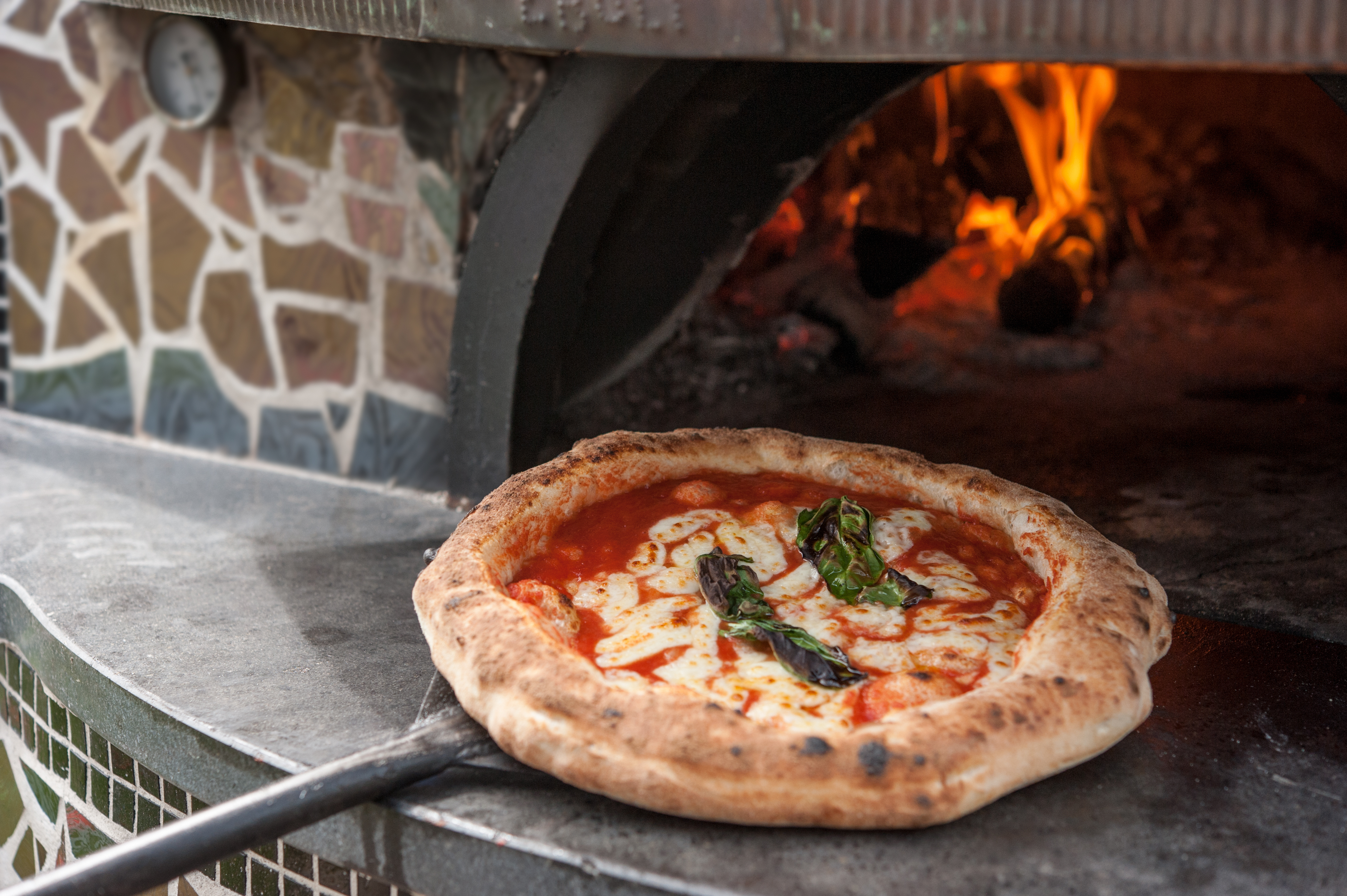 Ægte italiensk Margherita pizza på pizzaspaden direkte fra den varme træfyrede ovn i Napoli
