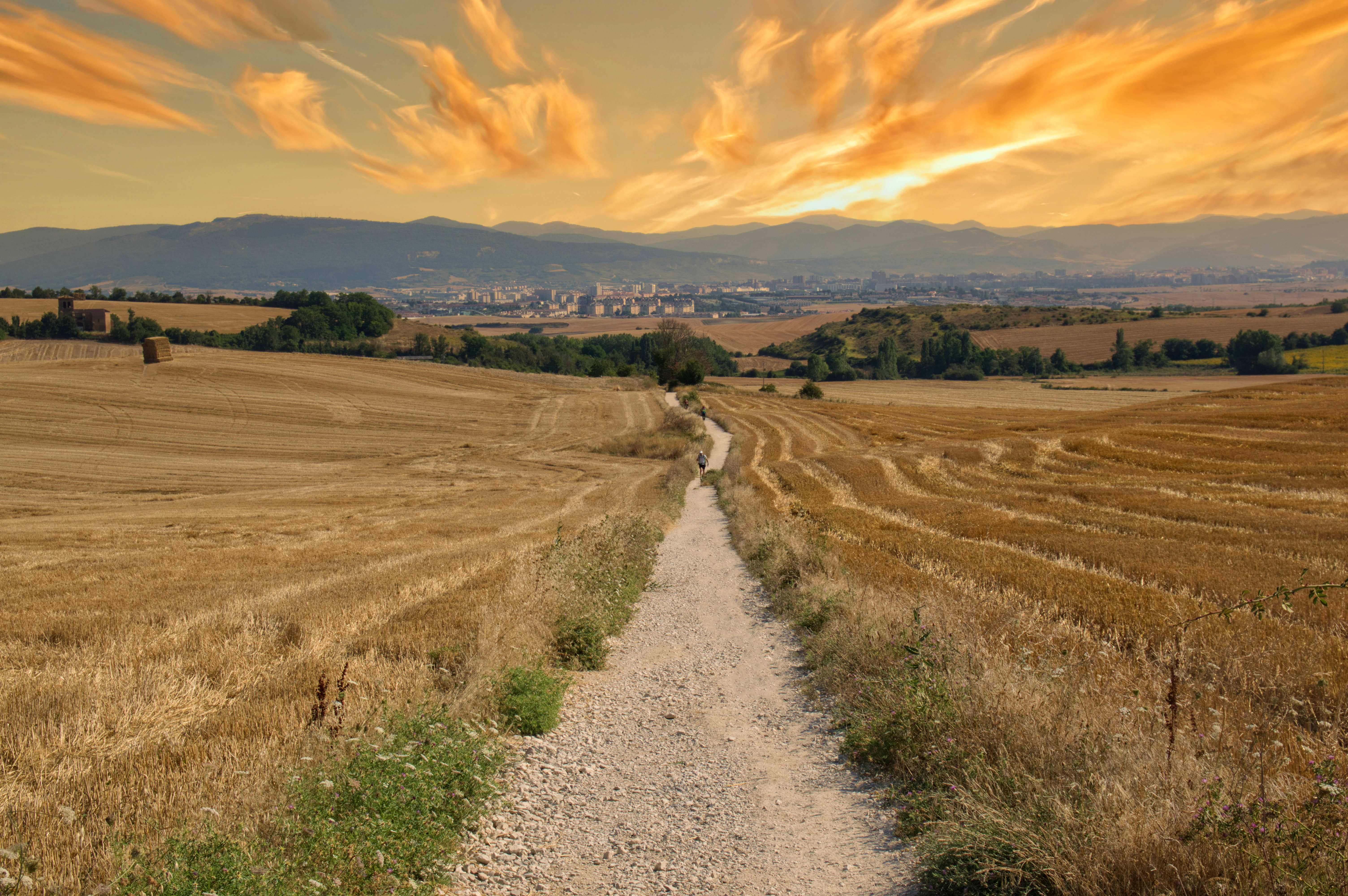 Spektakulær solopgang over Camino de Santiago pilgrimsruten i Navarra med en grussti der skærer gennem gyldne marker under en farverig himmel