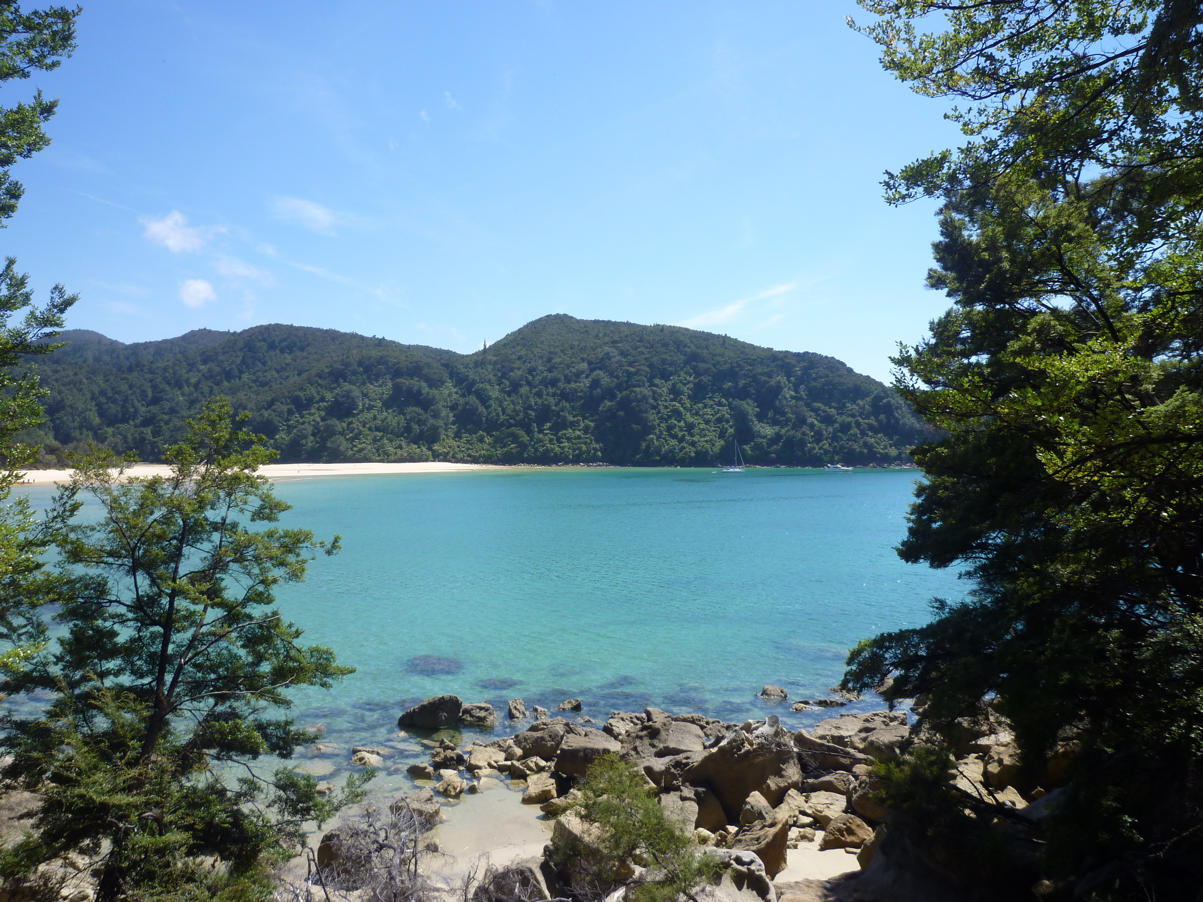 Turkisblåt vand og hvid sandstrand i Abel Tasman Nationalpark nær Nelson på New Zealands Sydø