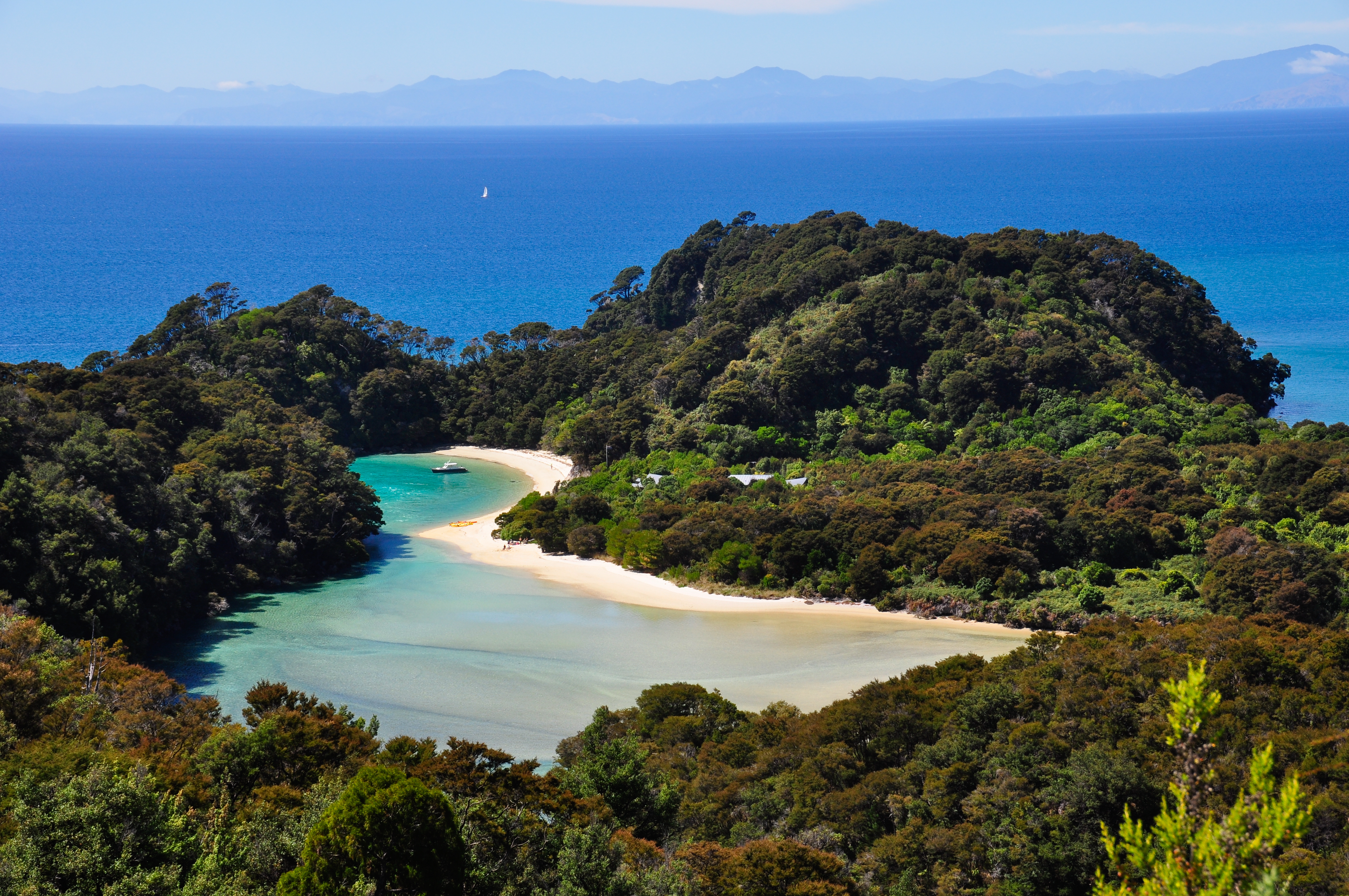 Skjult strand i naturskøn bugt omgivet af oprindelig newzealandsk skov