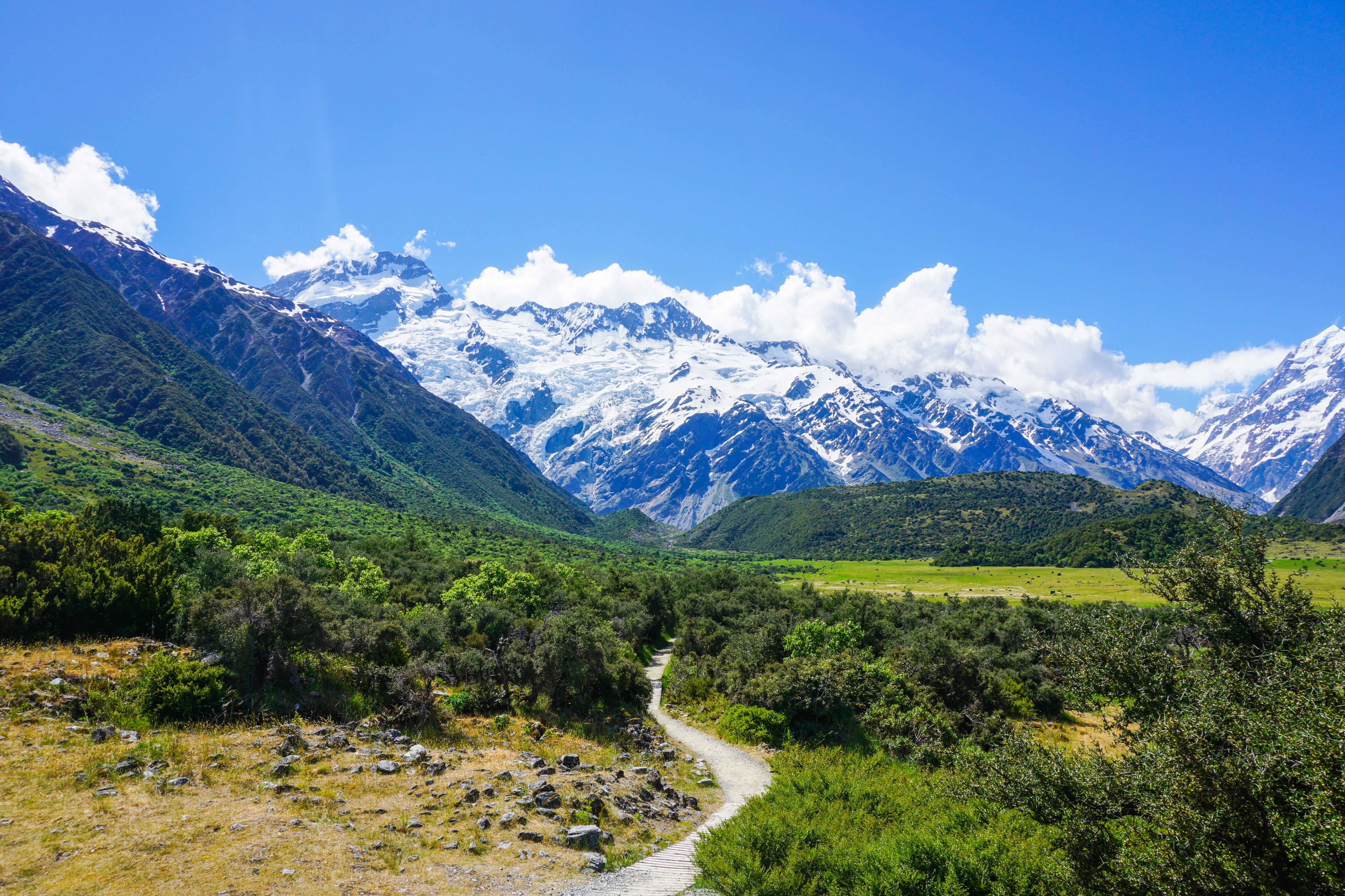Naturskøn sti gennem frodig grøn dal med snedækkede Mount Cook bjerge i horisonten, New Zealand