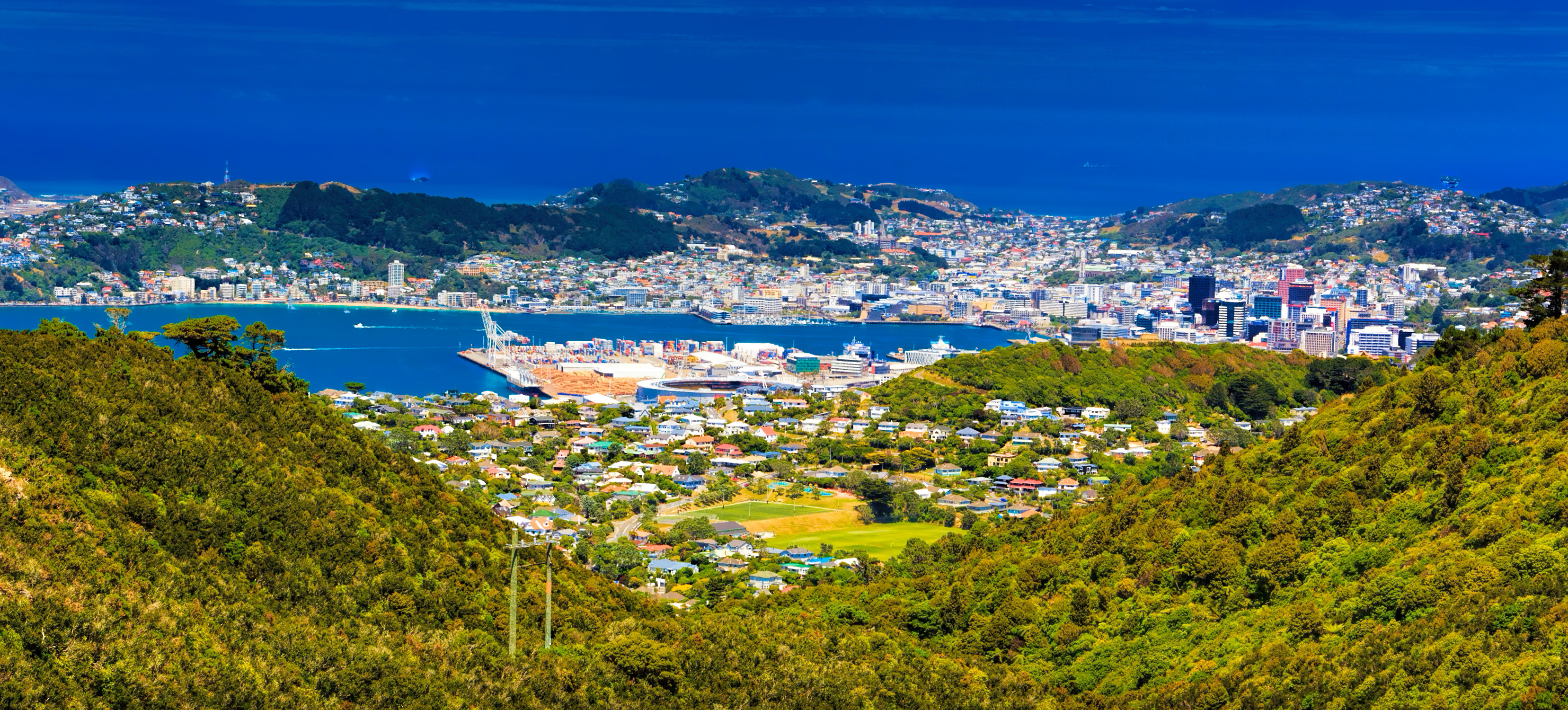 Storslået udsigt over Wellington fra Mount KayKay, hvor hovedstadens bygninger møder naturskønne omgivelser med grønne bakker og det blå hav