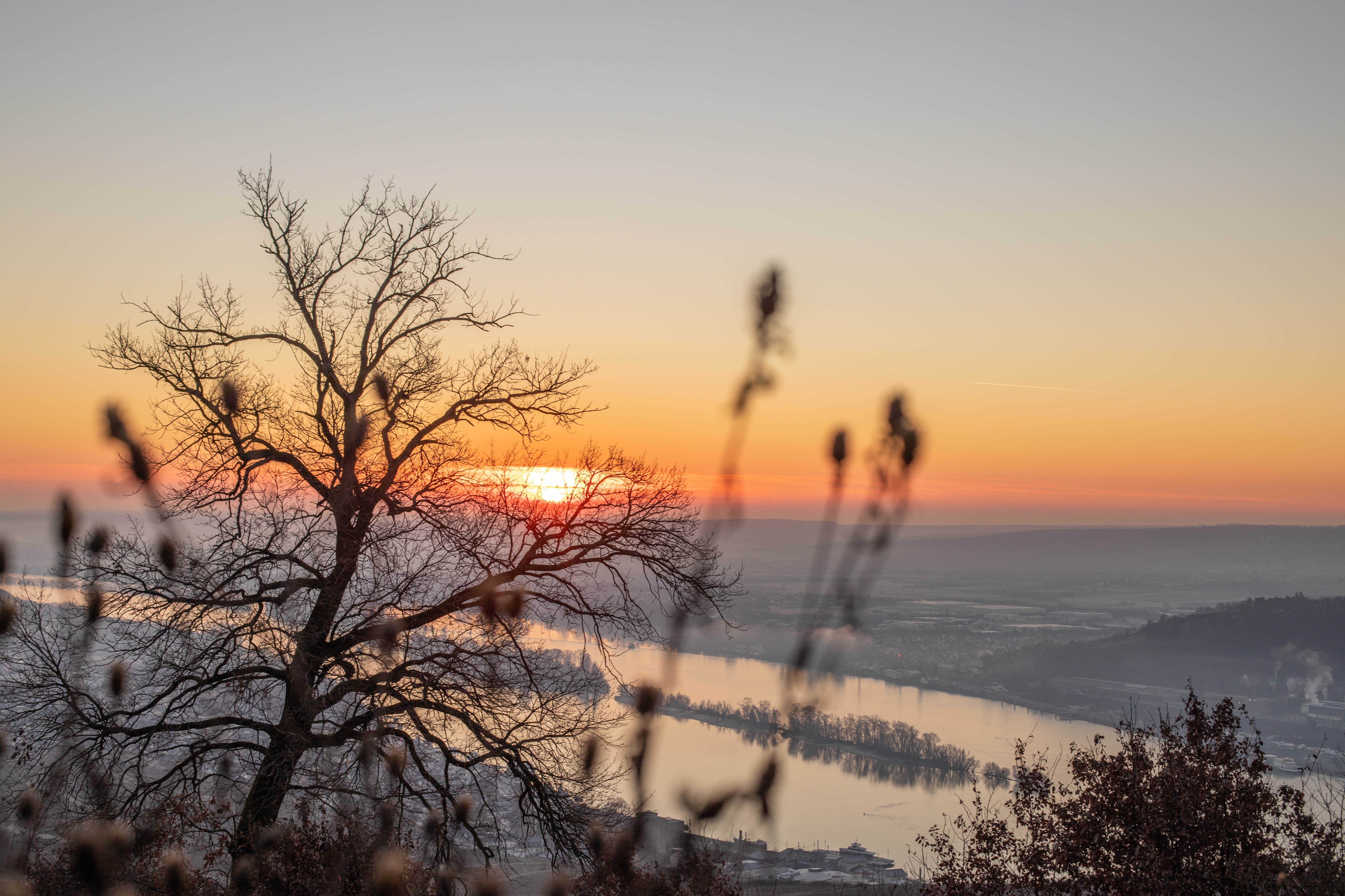 Solnedgang fra Niederwald Monument med udsigt over Rhinens vindale