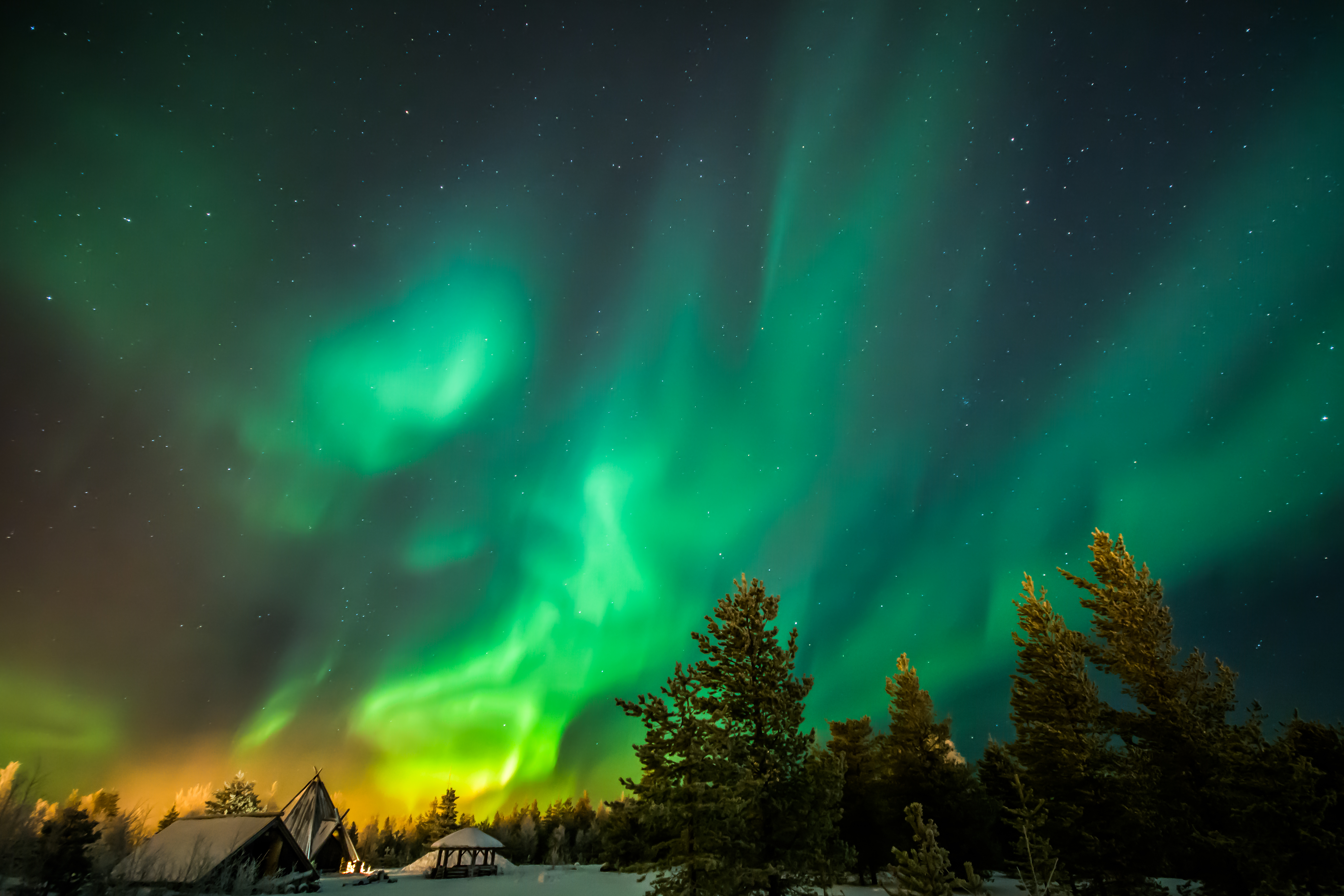 Magisk nordlys naturfænomen over arktisk skovlandskab i Finland