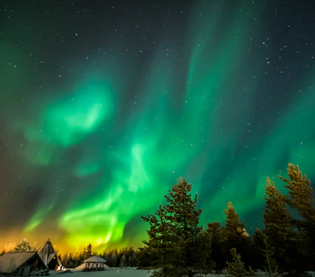 Magisk nordlys naturfænomen over arktisk skovlandskab i Finland