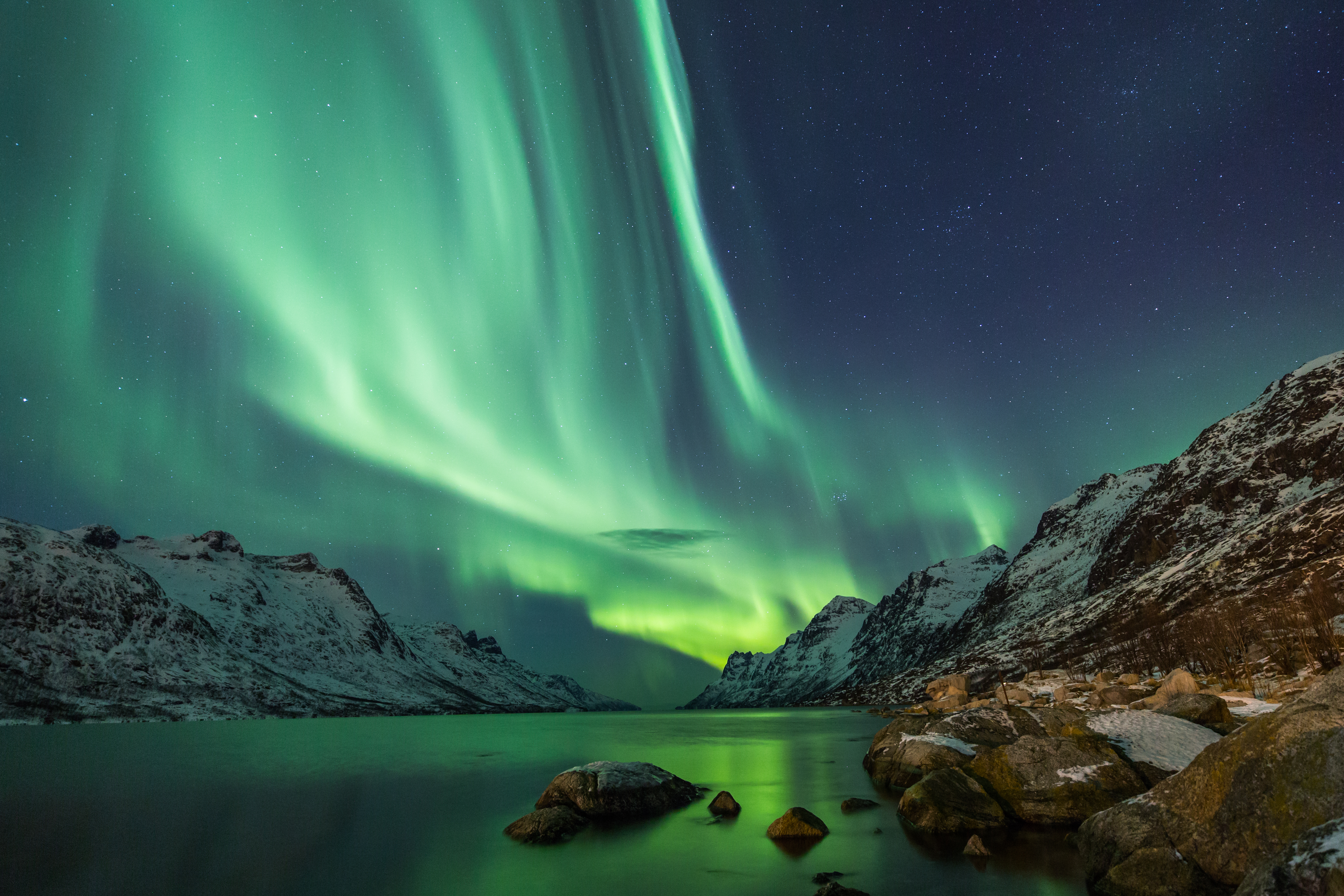 Imponerende nordlys lyser op over en norsk fjord omgivet af sneklædte bjerge, perfekt til en magisk vinterrejse