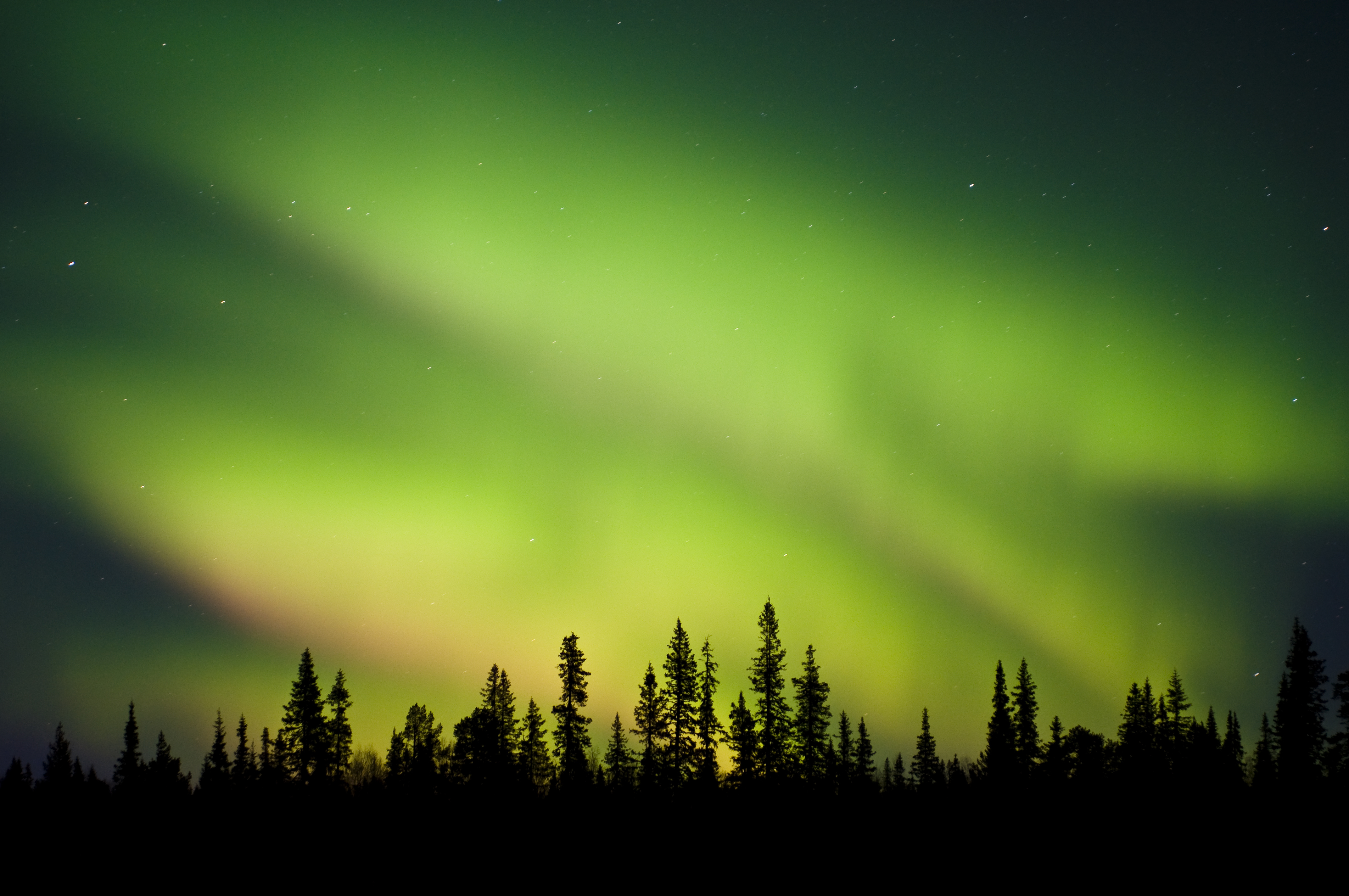 Magiske nordlys over svensk natur ved polarcirklen