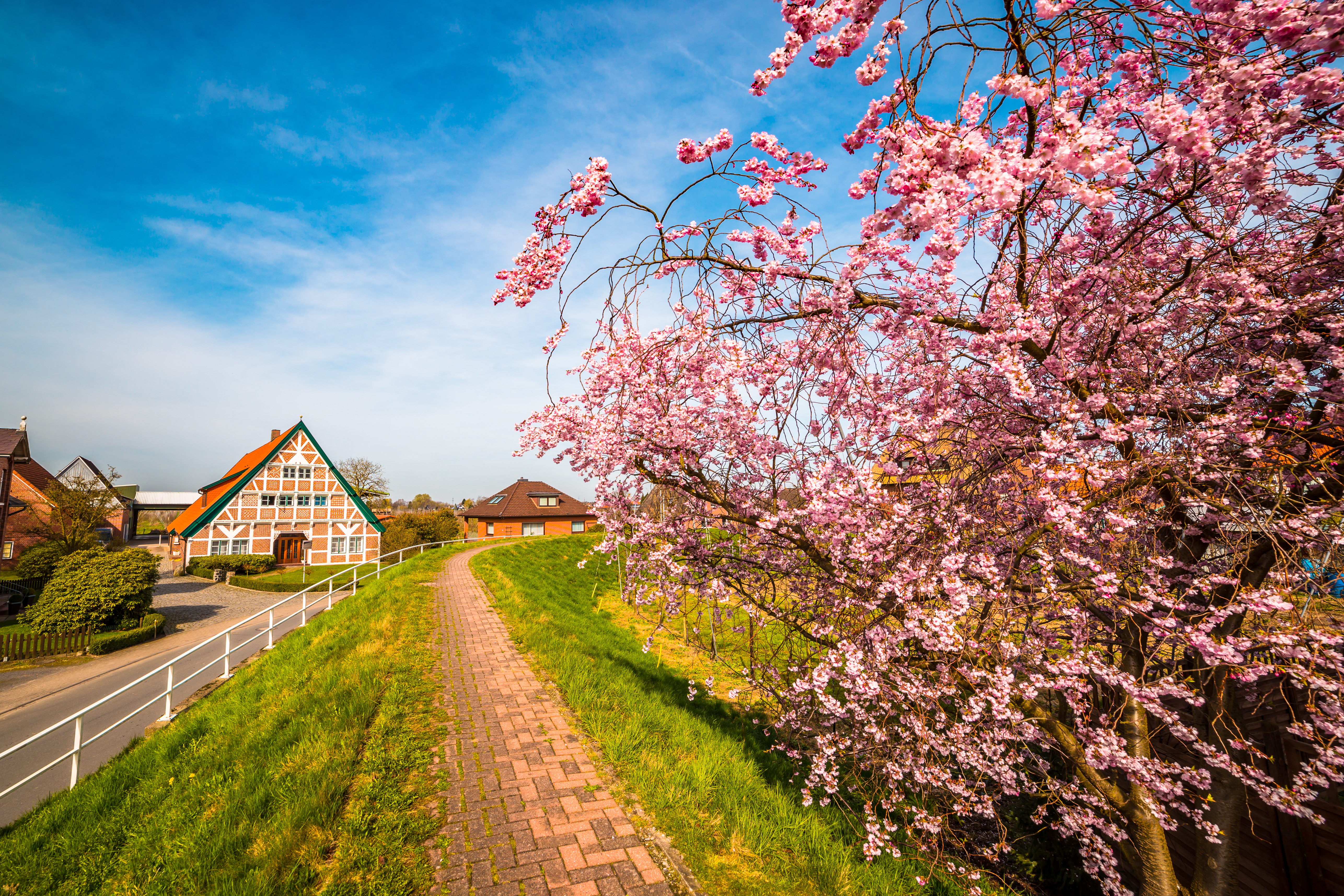 Smukt forårsbillede fra Nordtyskland med blomstrende træer og historiske huse