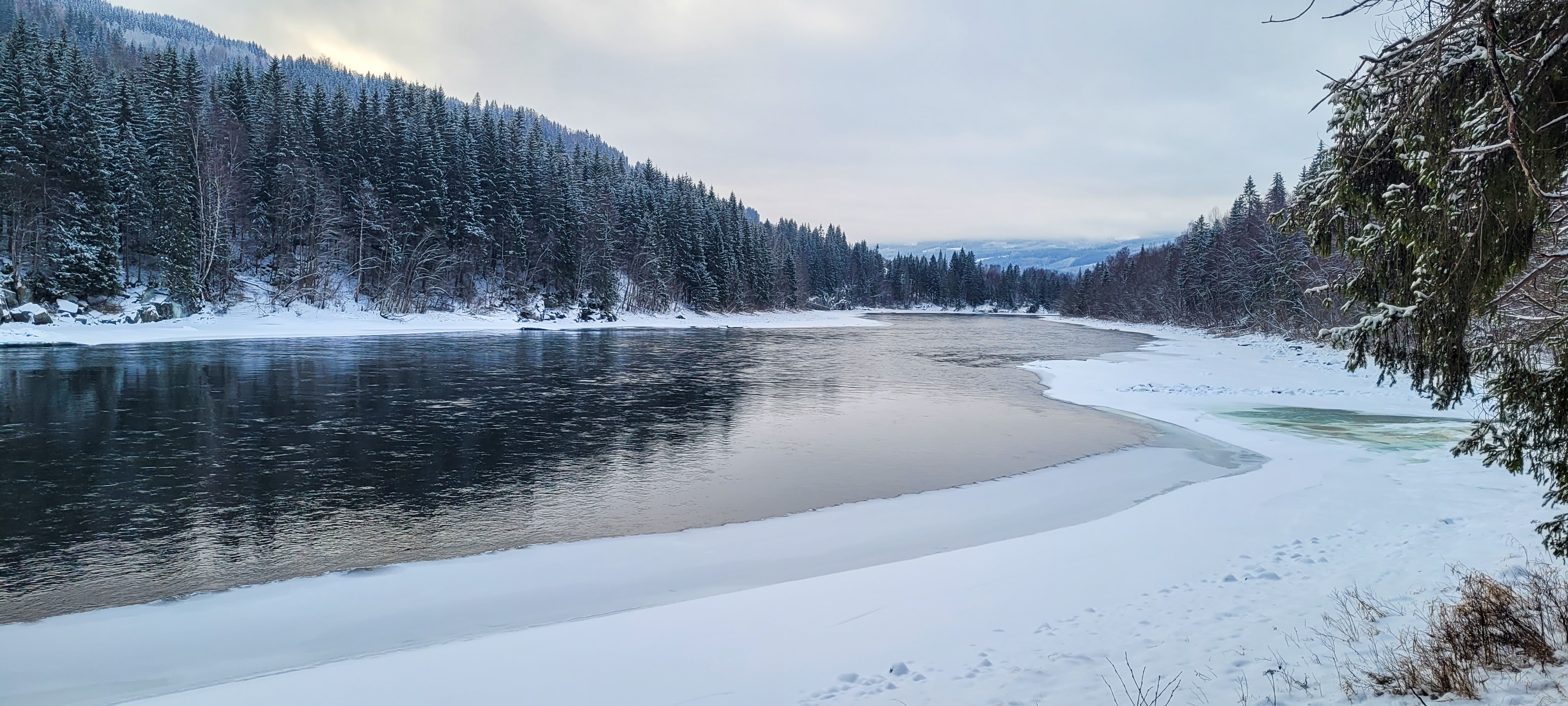 Stille nordisk vinterlandskab i Norge med snedækket skovbred og rolig flod ved Lillehammer