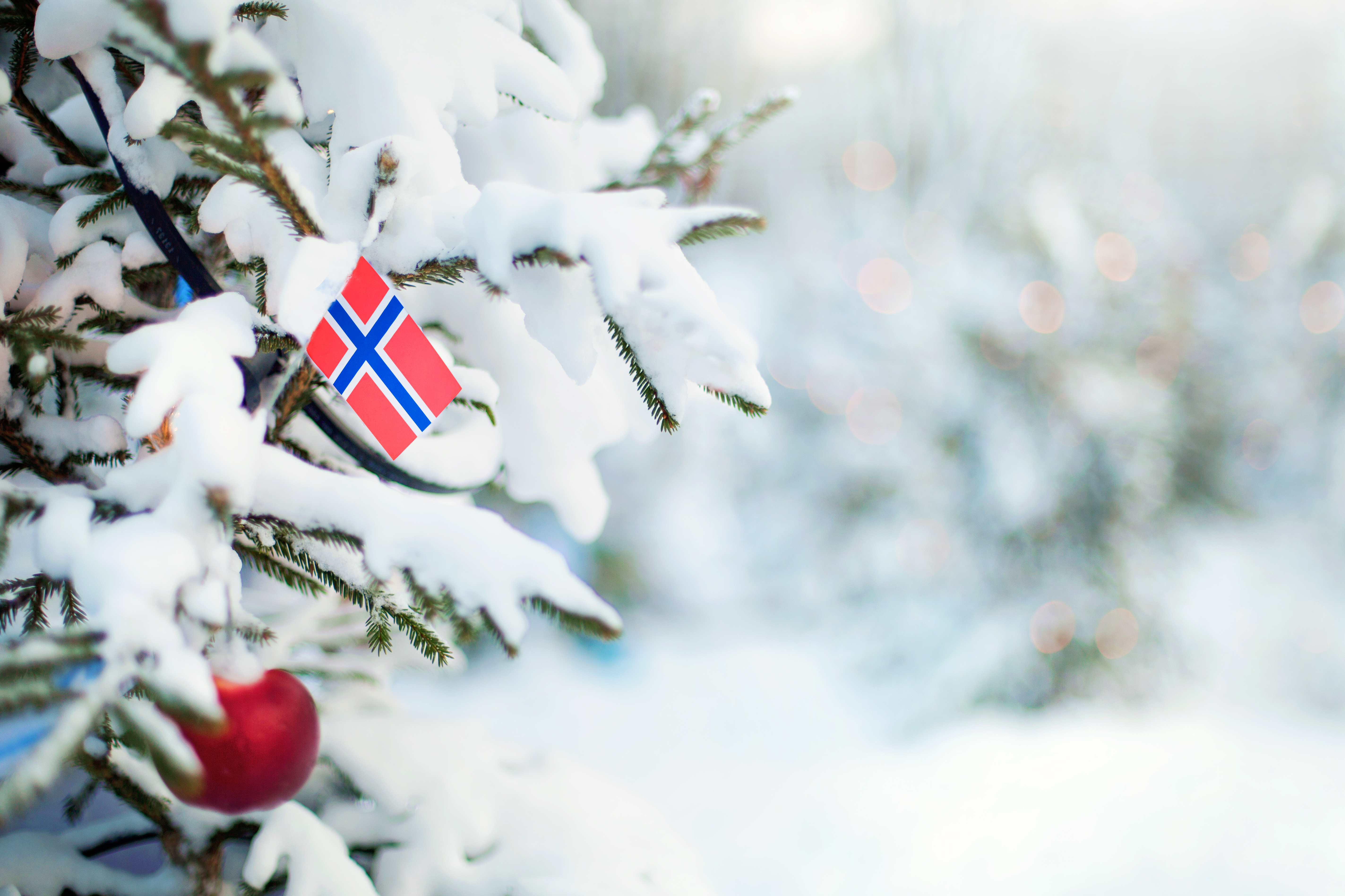 Smukt snedækket juletræ med norsk flag som dekoration i en hvid norsk vinterlandskab