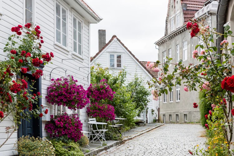 Charmerende norsk fiskeby med hvide huse og blomstrende haver i Stavanger