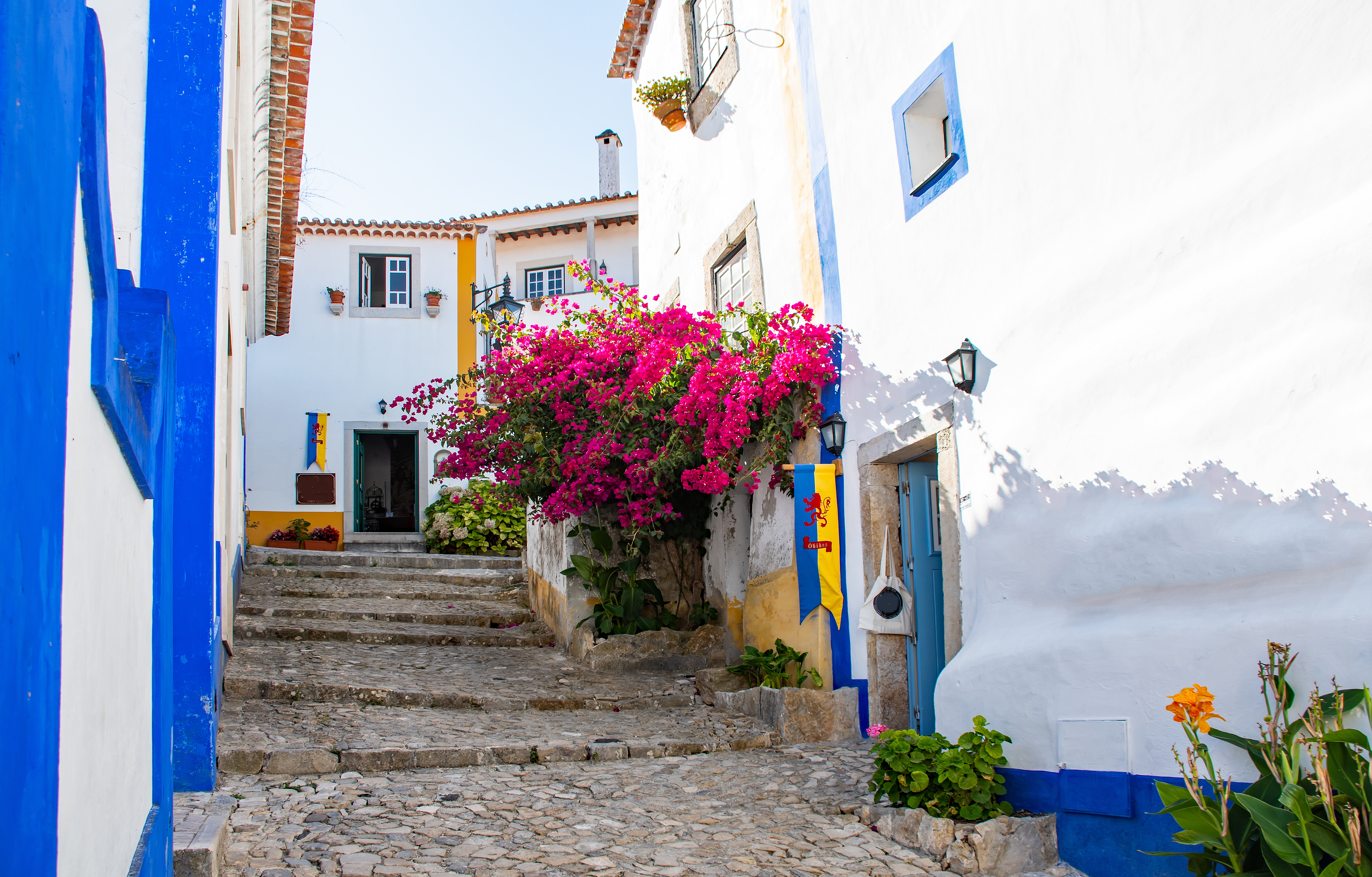 Brosten gade i Óbidos Portugal med lyserøde bougainvillea blomster