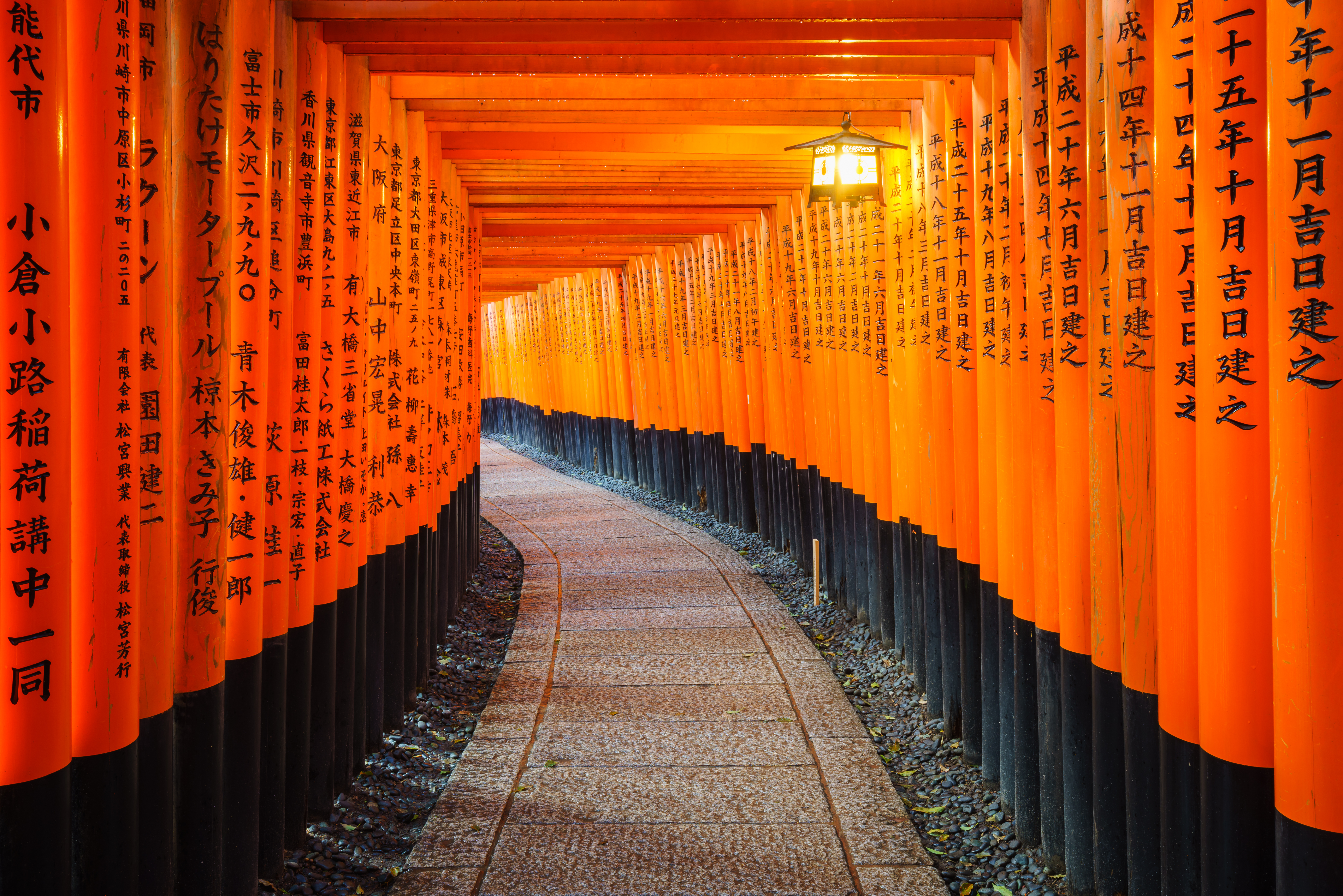 Endeløs række af orange torii-porte ved Fushimi Inari-helligdommen, Kyotos mest besøgte tempel