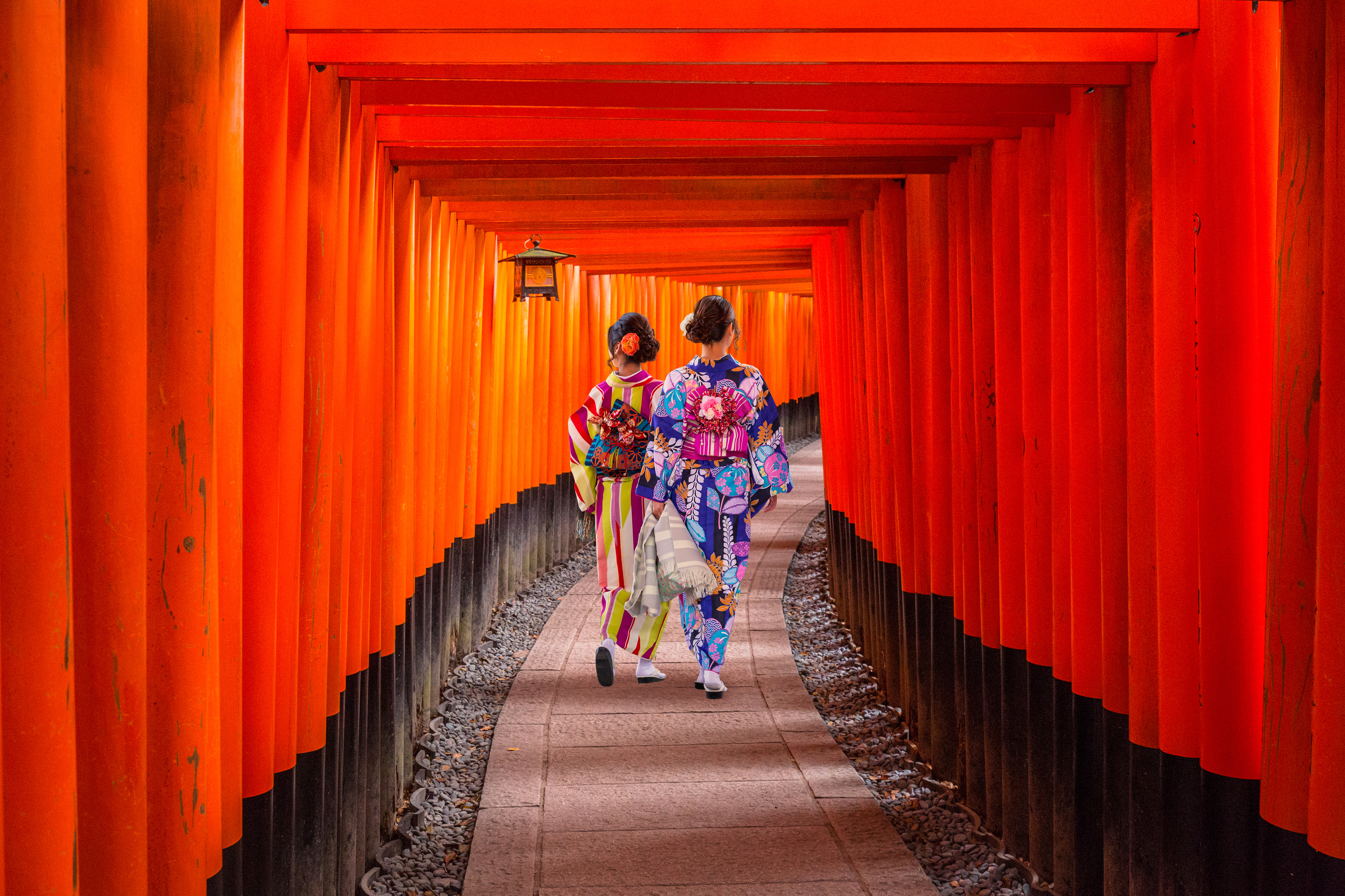 Dame i smuk kimono går gennem tunnel af orange torii-porte ved det berømte Fushimi Inari tempel i Kyoto