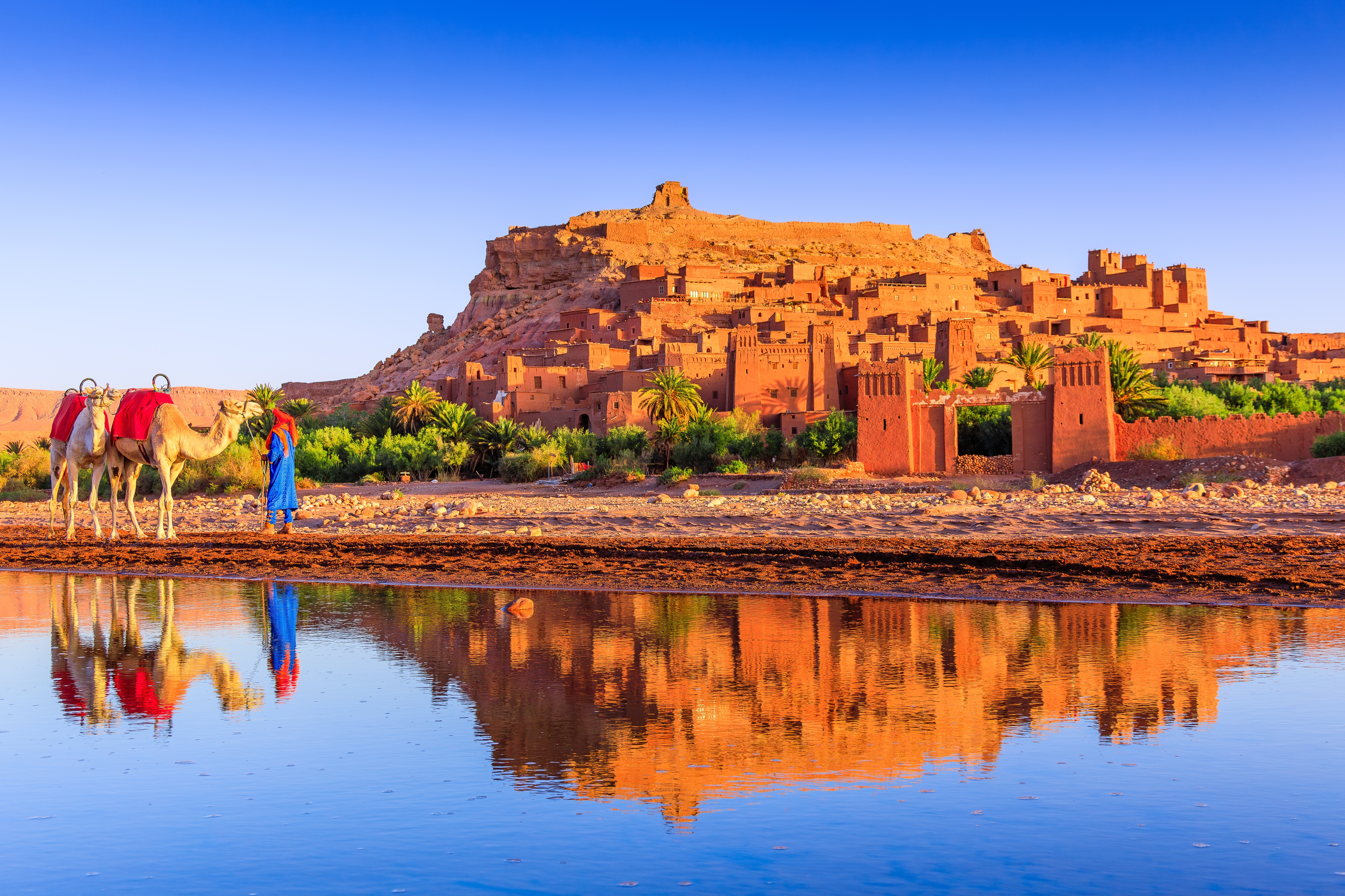 Smukt befæstet lerlandsby Ait Benhaddou ved Ouarzazate i Marokko med kameler og spejlbillede i floden ved solopgang