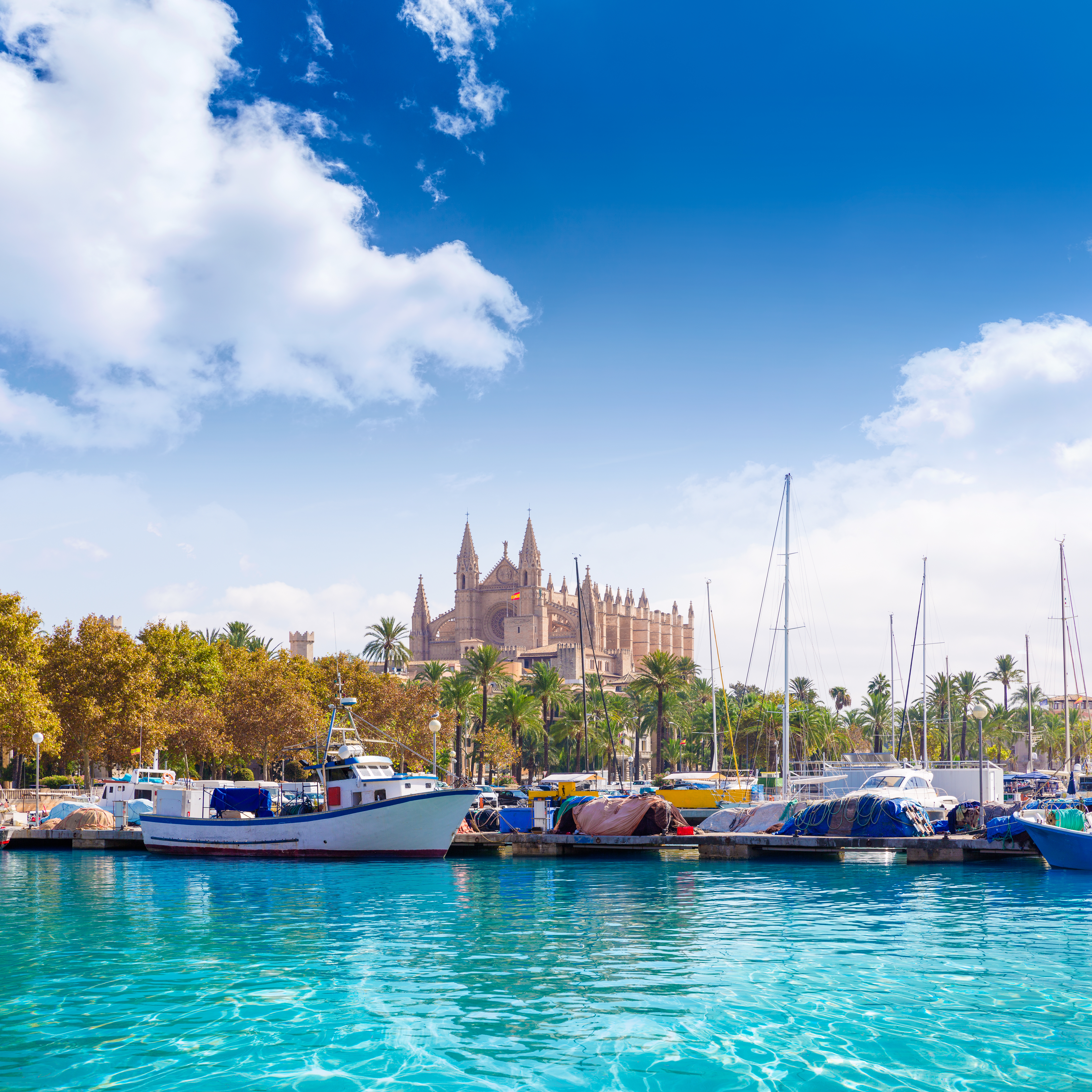 Palma La Seu katedral og havn med lystbaade Mallorca