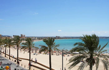 Playa de Palma på Mallorca med palmer, sandstrand og badegæster under blå himmel