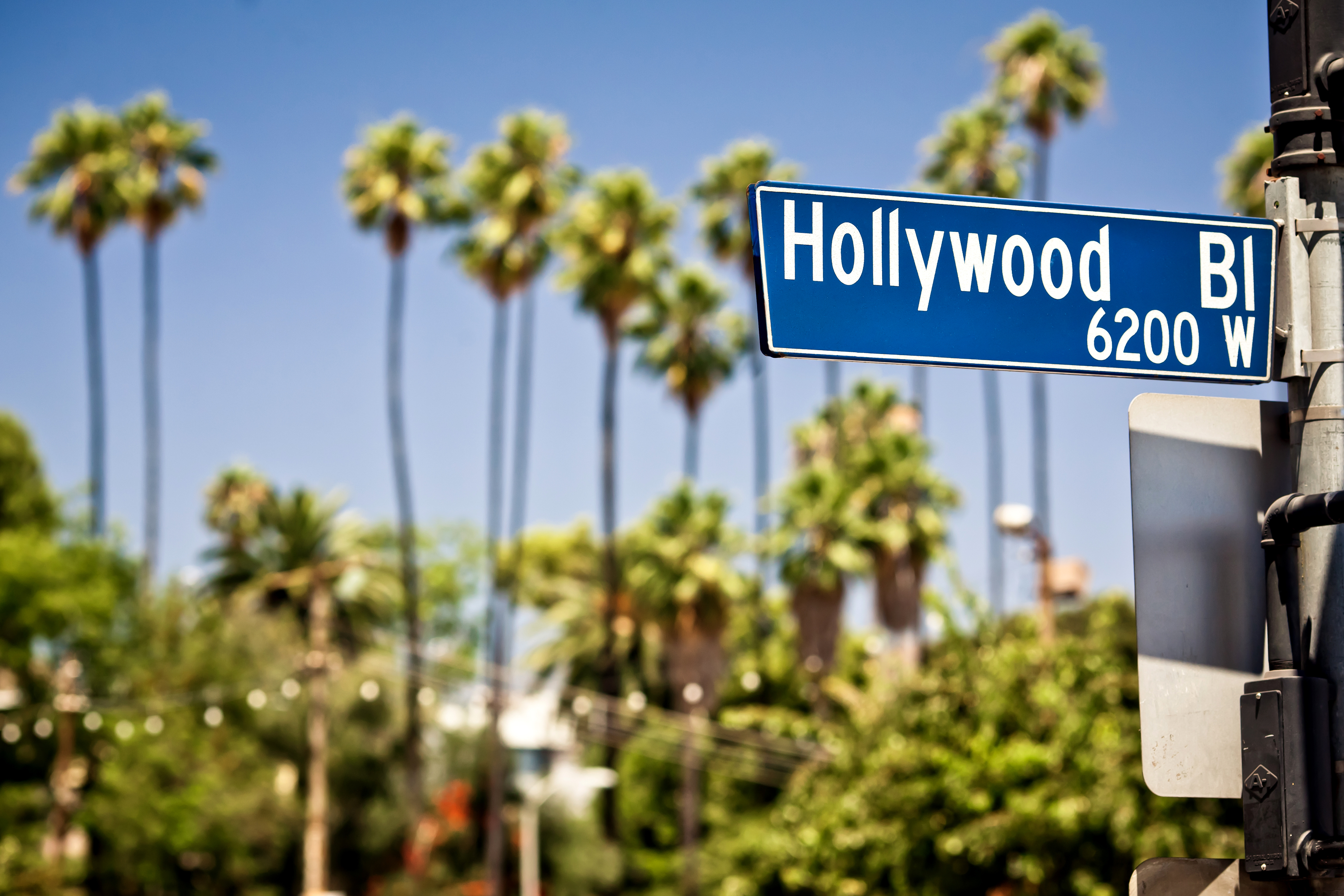 Hollywood Boulevard vejskilt omgivet af palmer i det solige Los Angeles