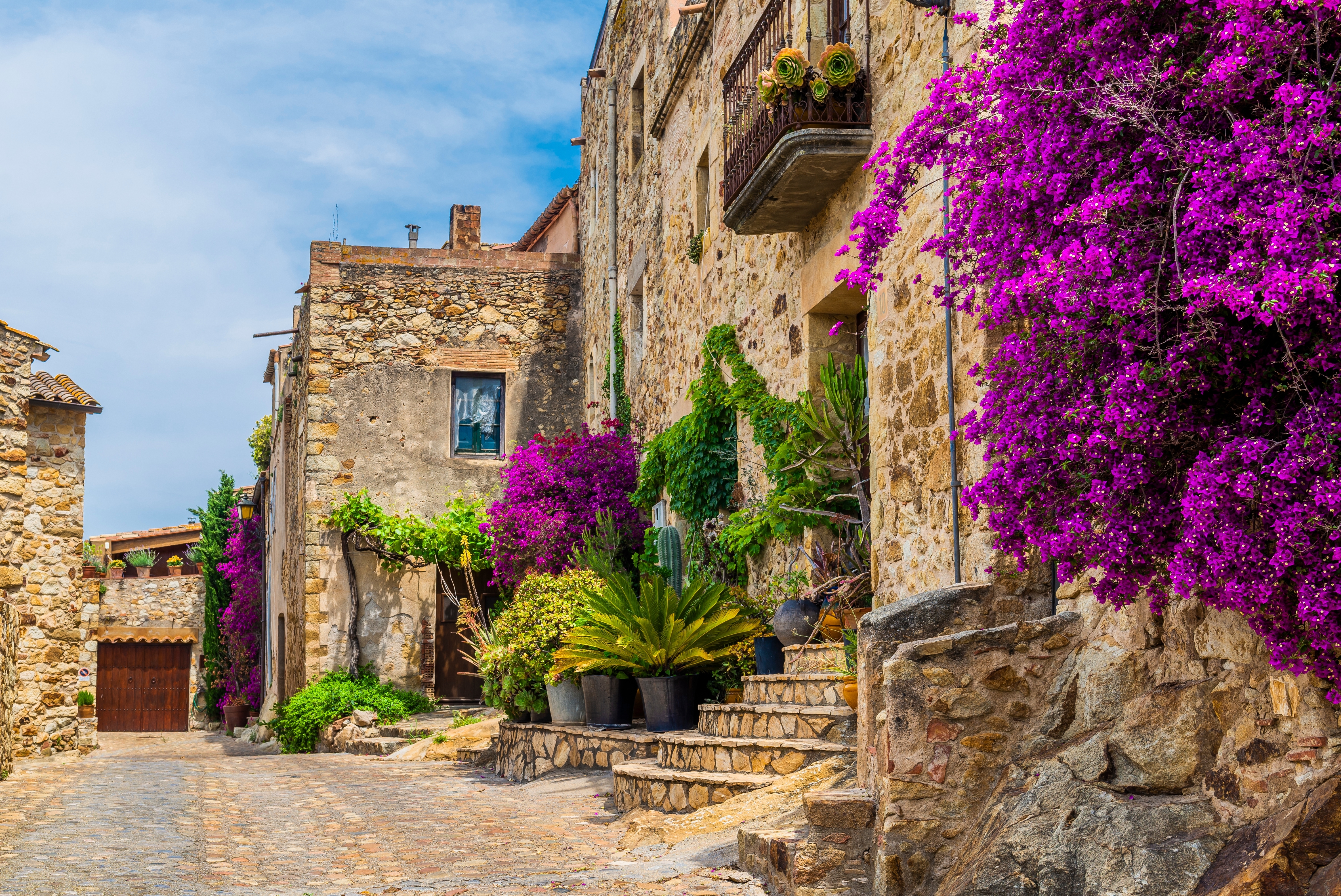 Romantisk brolagt gade i den historiske by Pals i Catalonien, Spanien, omgivet af smukke lilla blomster og grønne planter ved stenbygninger