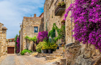 Romantisk brolagt gade i den historiske by Pals i Catalonien, Spanien, omgivet af smukke lilla blomster og grønne planter ved stenbygninger