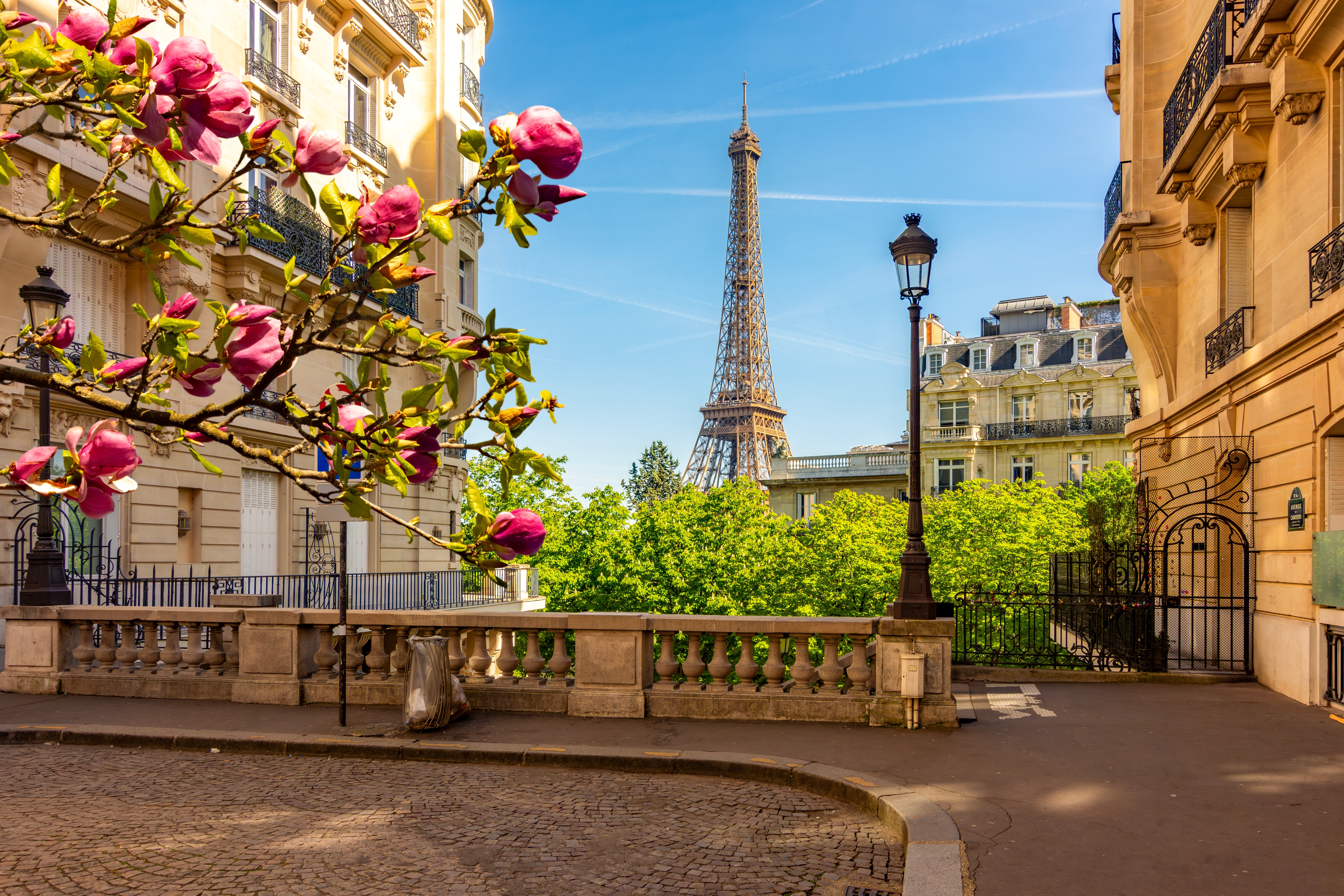 Romantisk forårsstemning i Paris med det ikoniske Eiffeltårn set fra en charmerende gade med blomstrende magnoliatræer og historiske bygninger