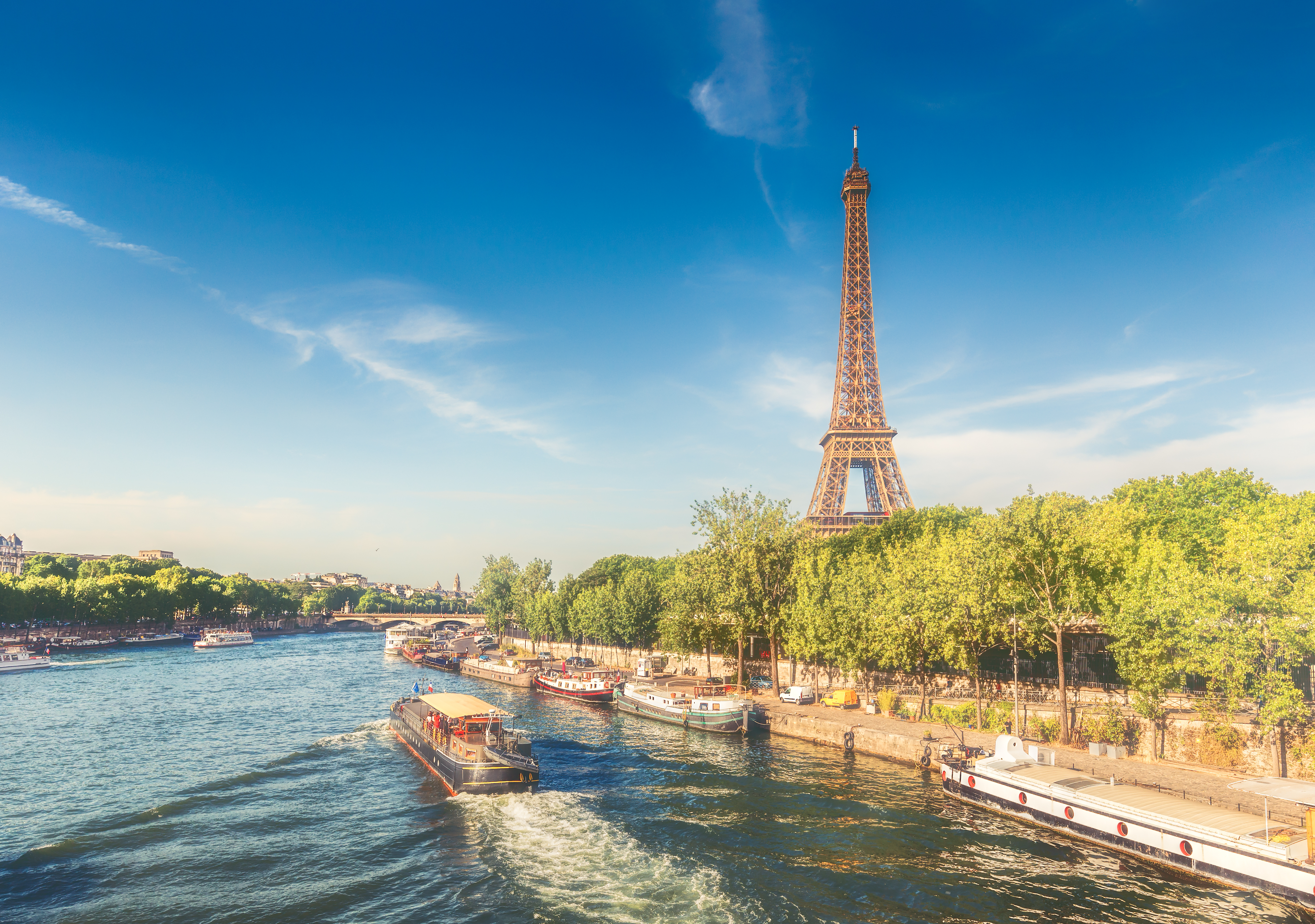 Seine flodkrydstogt med udsigt til Eiffeltårnet i Paris