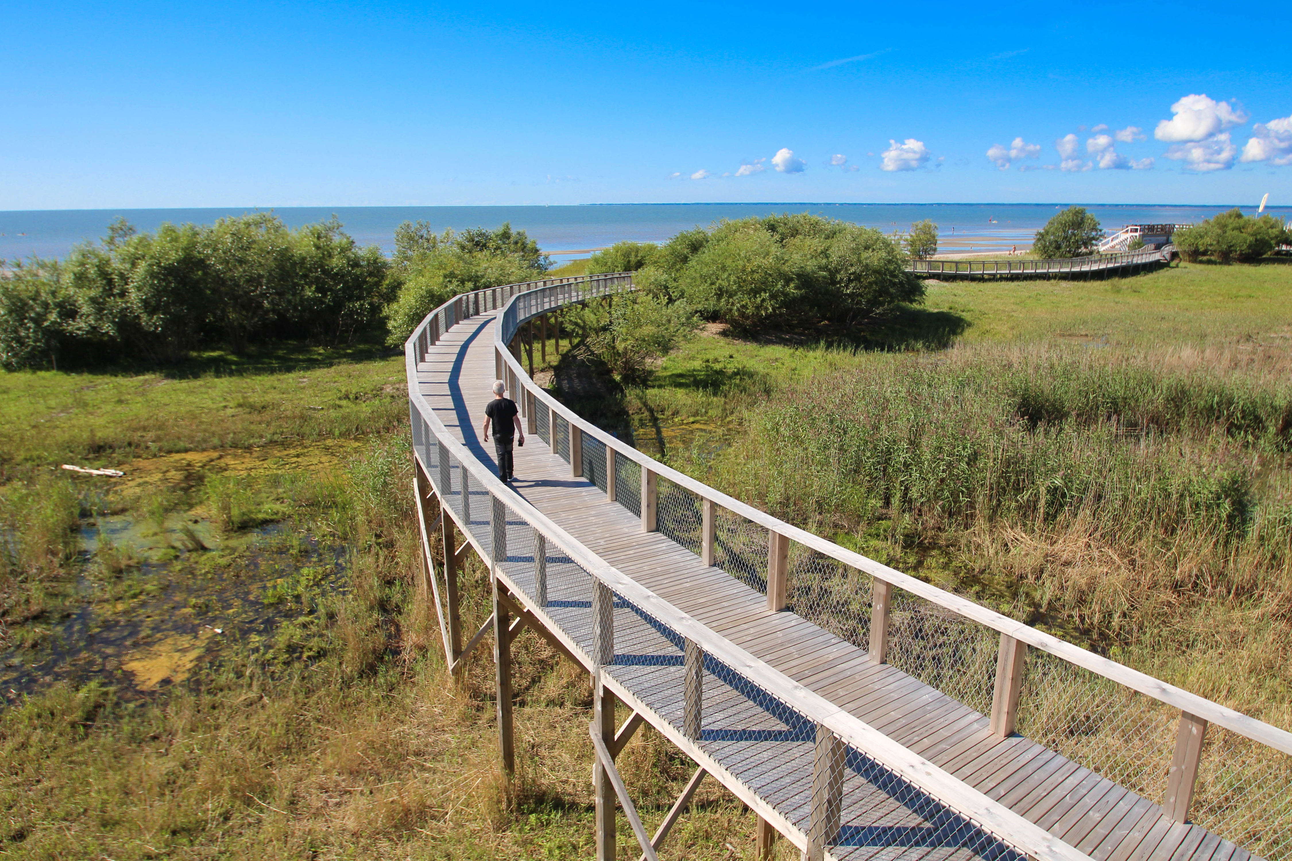 Forhøjet gangsti ved Pärnu strand i Estland med person på naturvandring