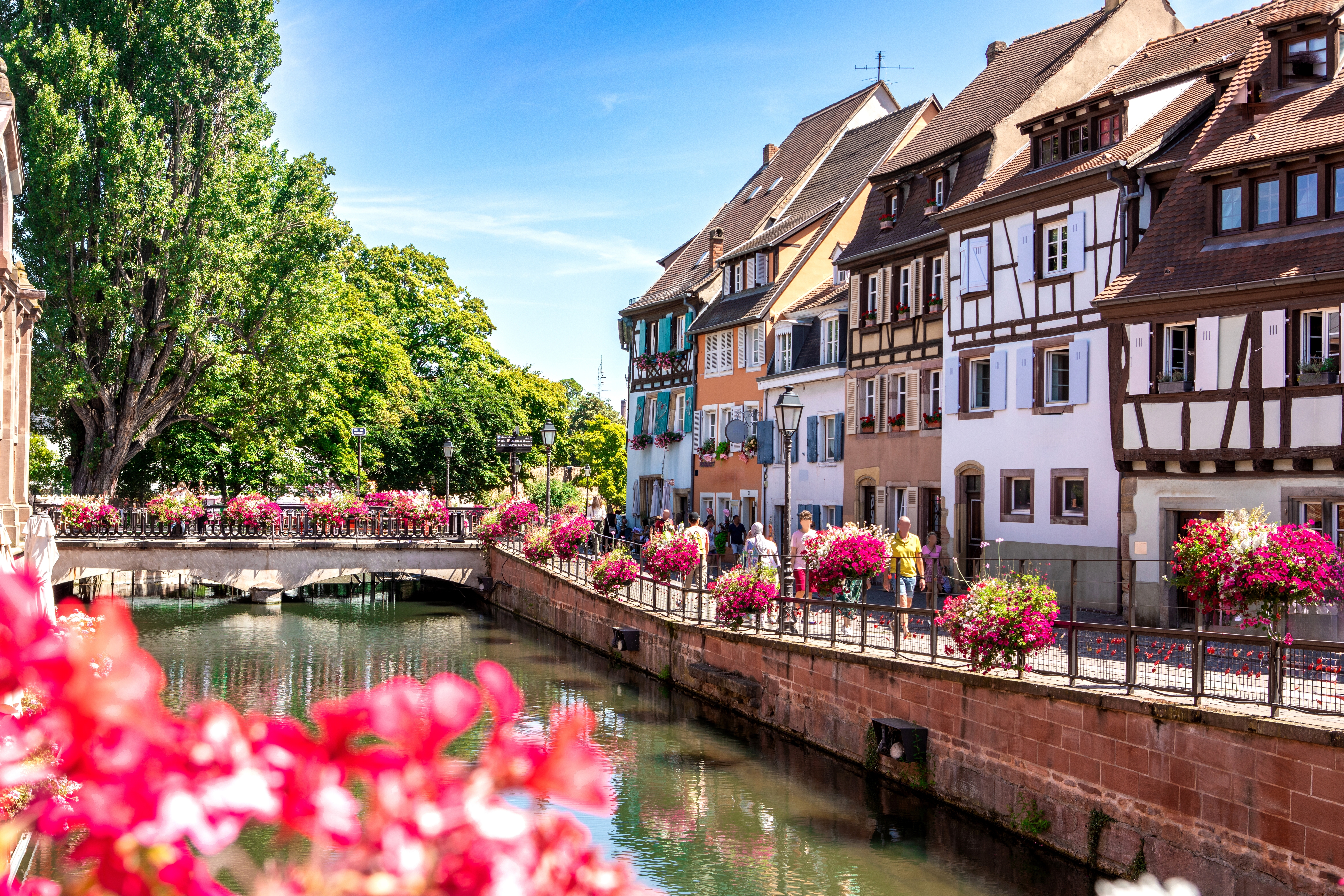 Farverige bindingsværkshuse langs kanalen i Petite Venice, Colmar, med smukke blomsterdekorationer i Alsace, Frankrig