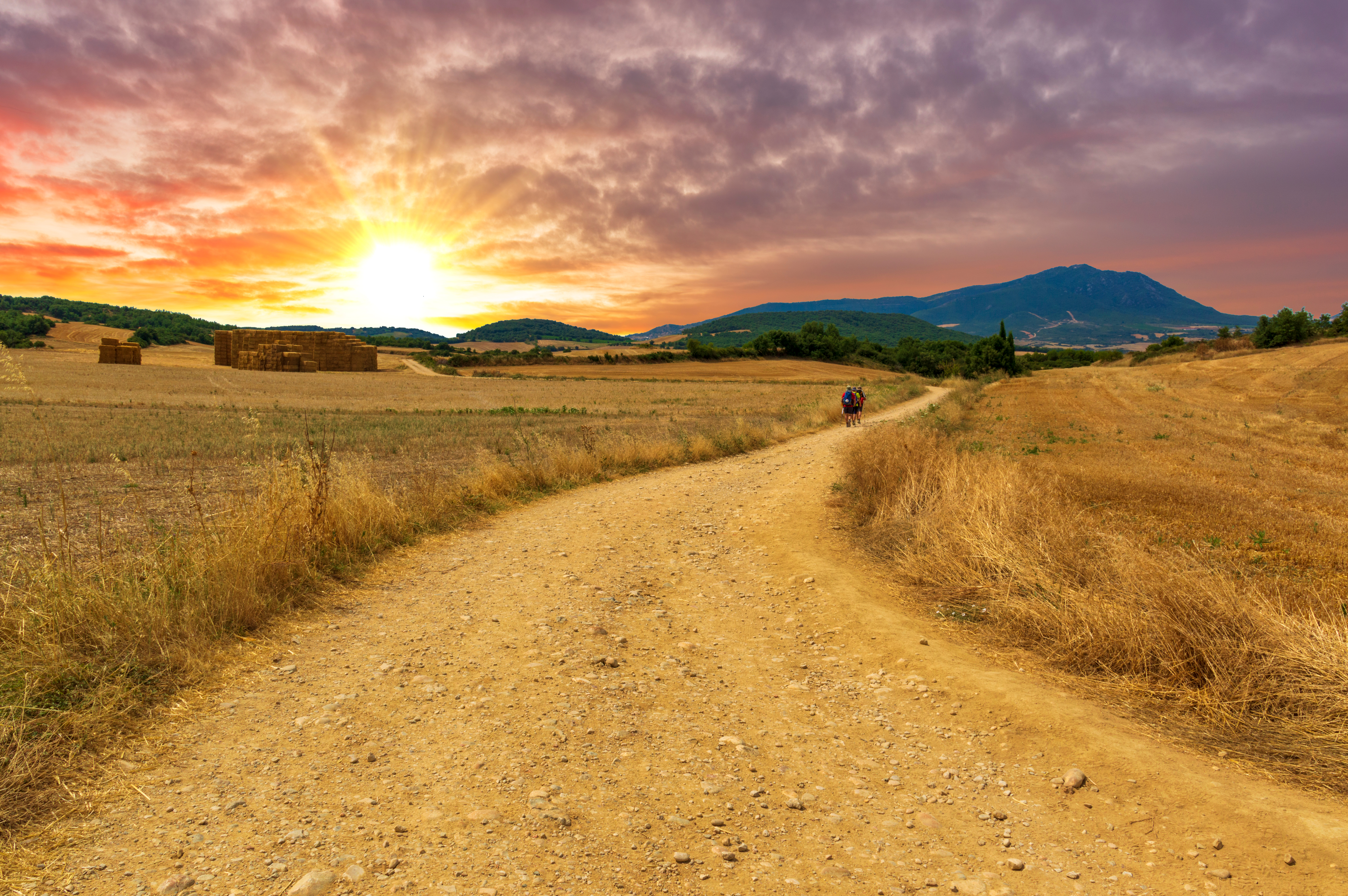 Pilgrimsvandring på Camino de Santiago gennem det gyldne spanske landskab