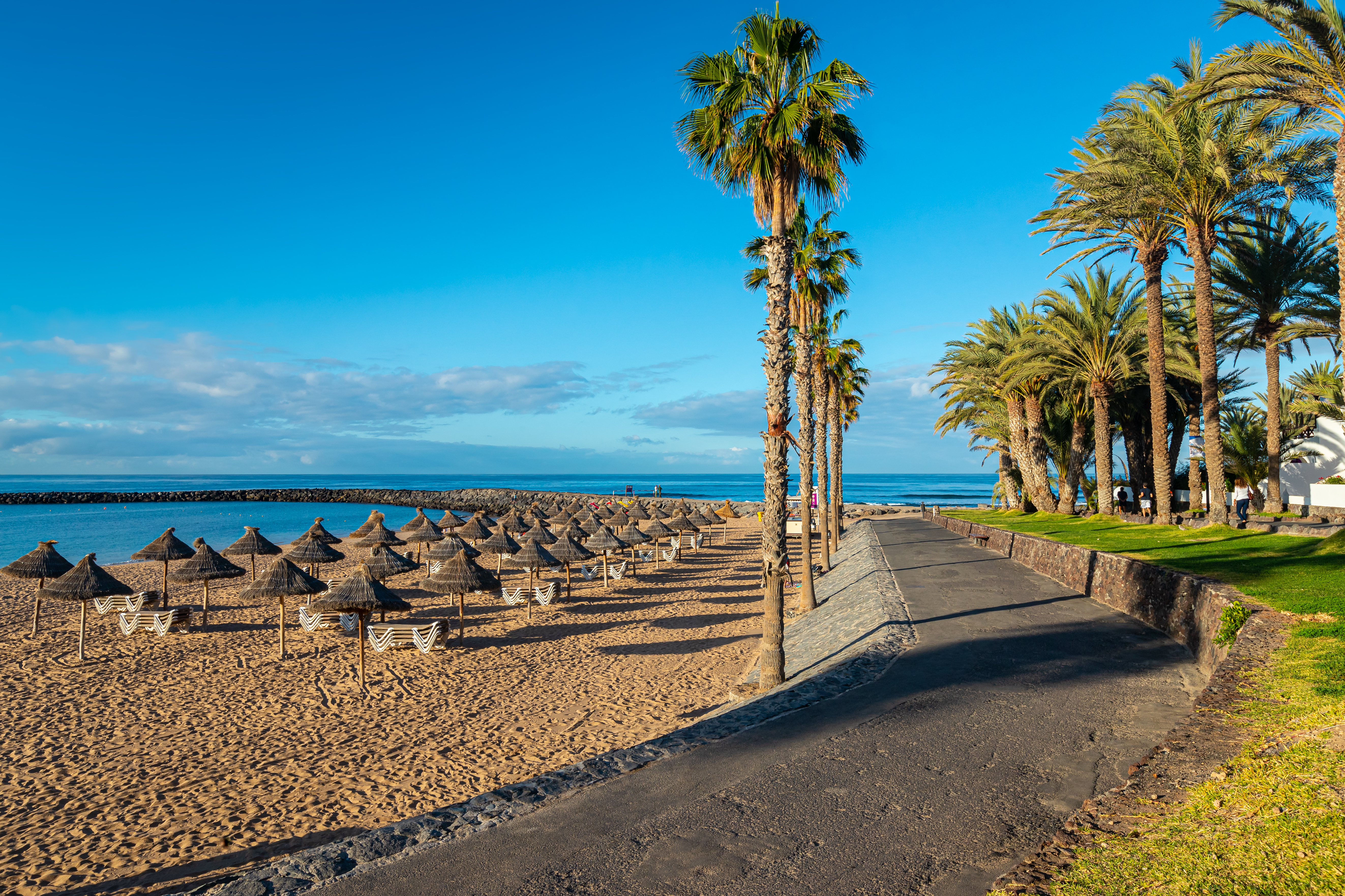 Lækker sandstrand med stråparasoller og palmeklædt promenade ved Playa de las Americas på Tenerife, De Kanariske Øer