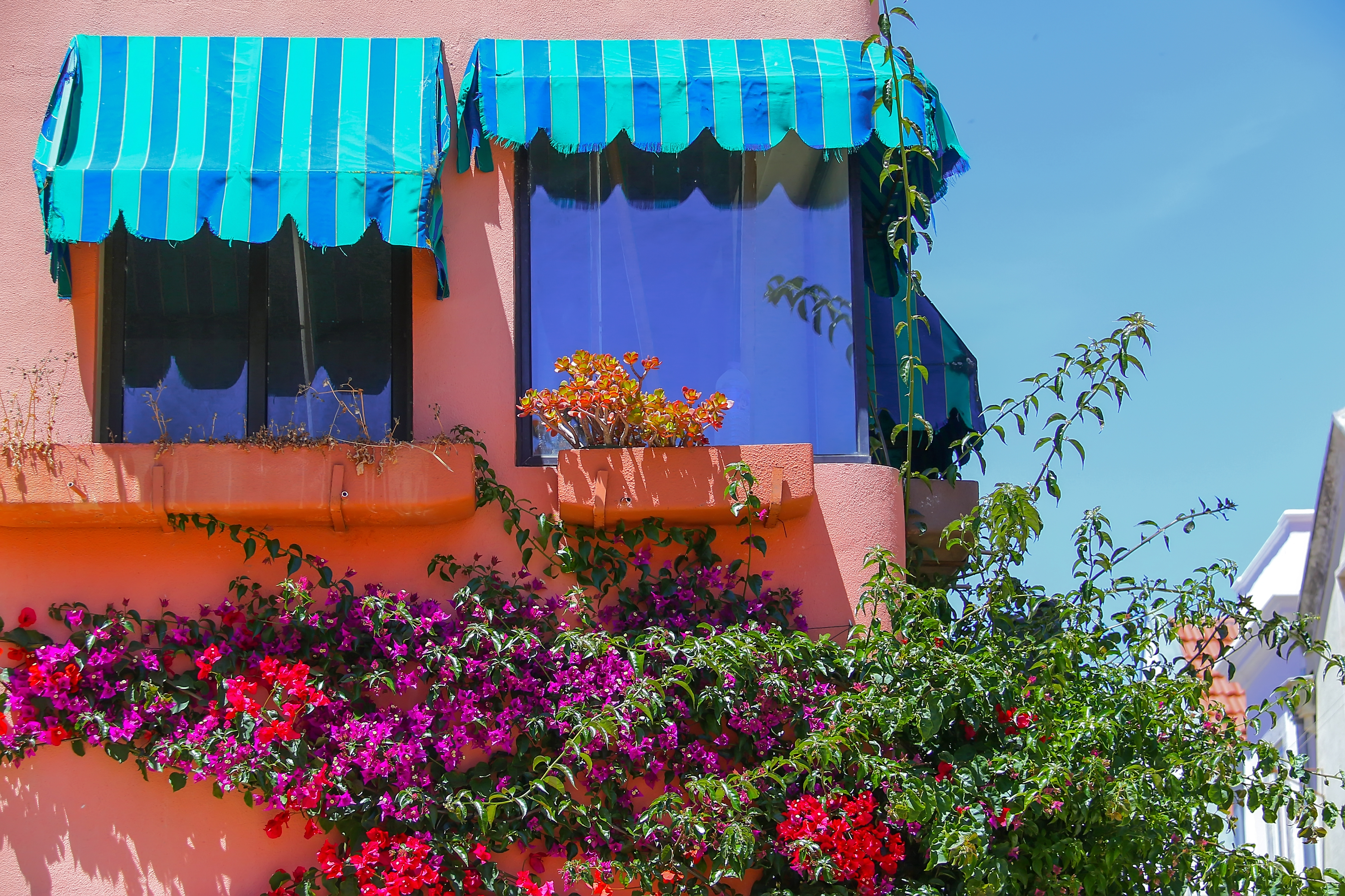 Charmerende lyserød bygning i Cascais, Portugal, prydet med turkise markiser og overdådige bougainvillea blomster i rødt og lilla
