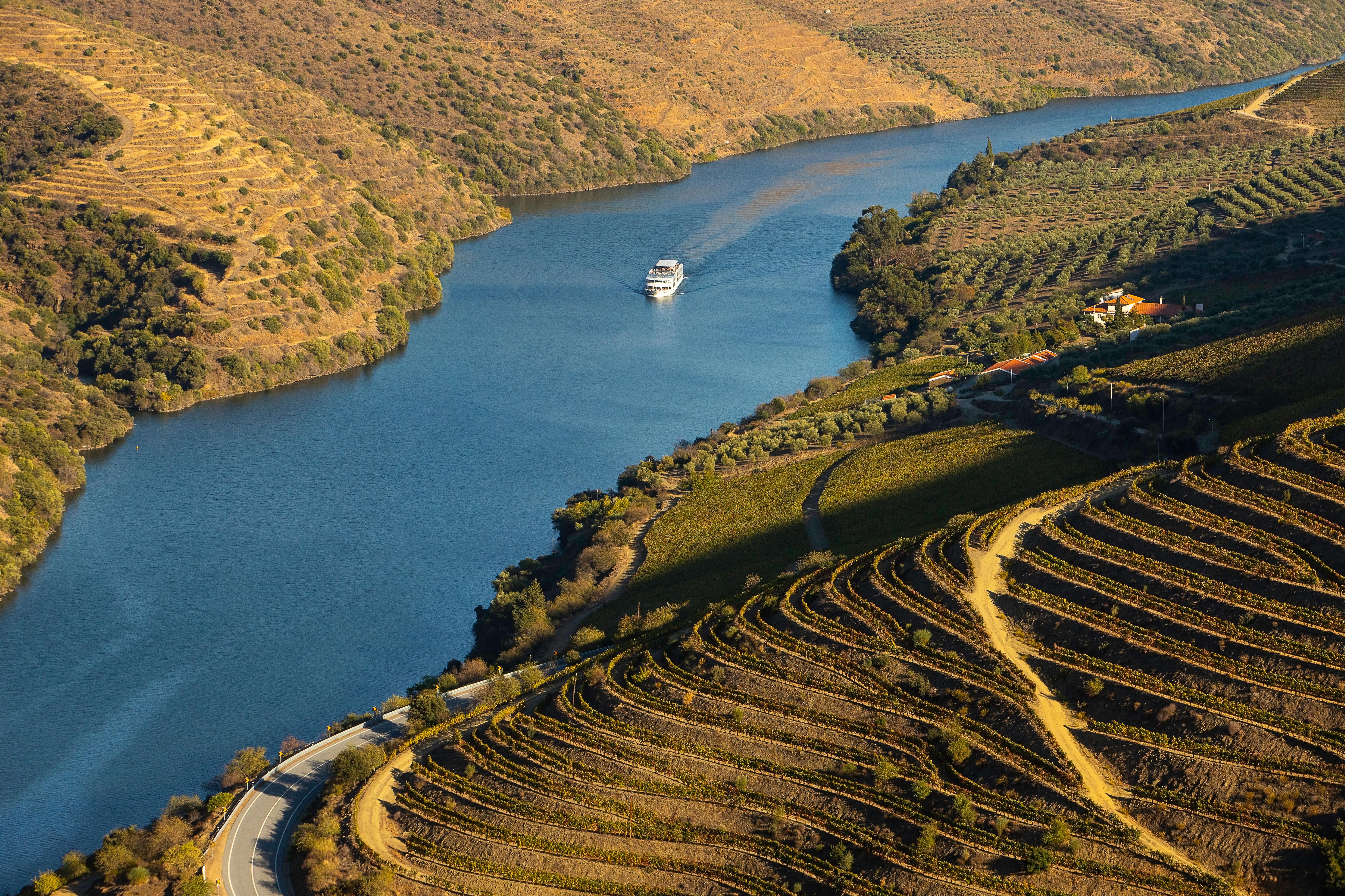 Rejse til Douro-dalen i Portugal med krydstogt mellem de berømte vingårdsterrasser