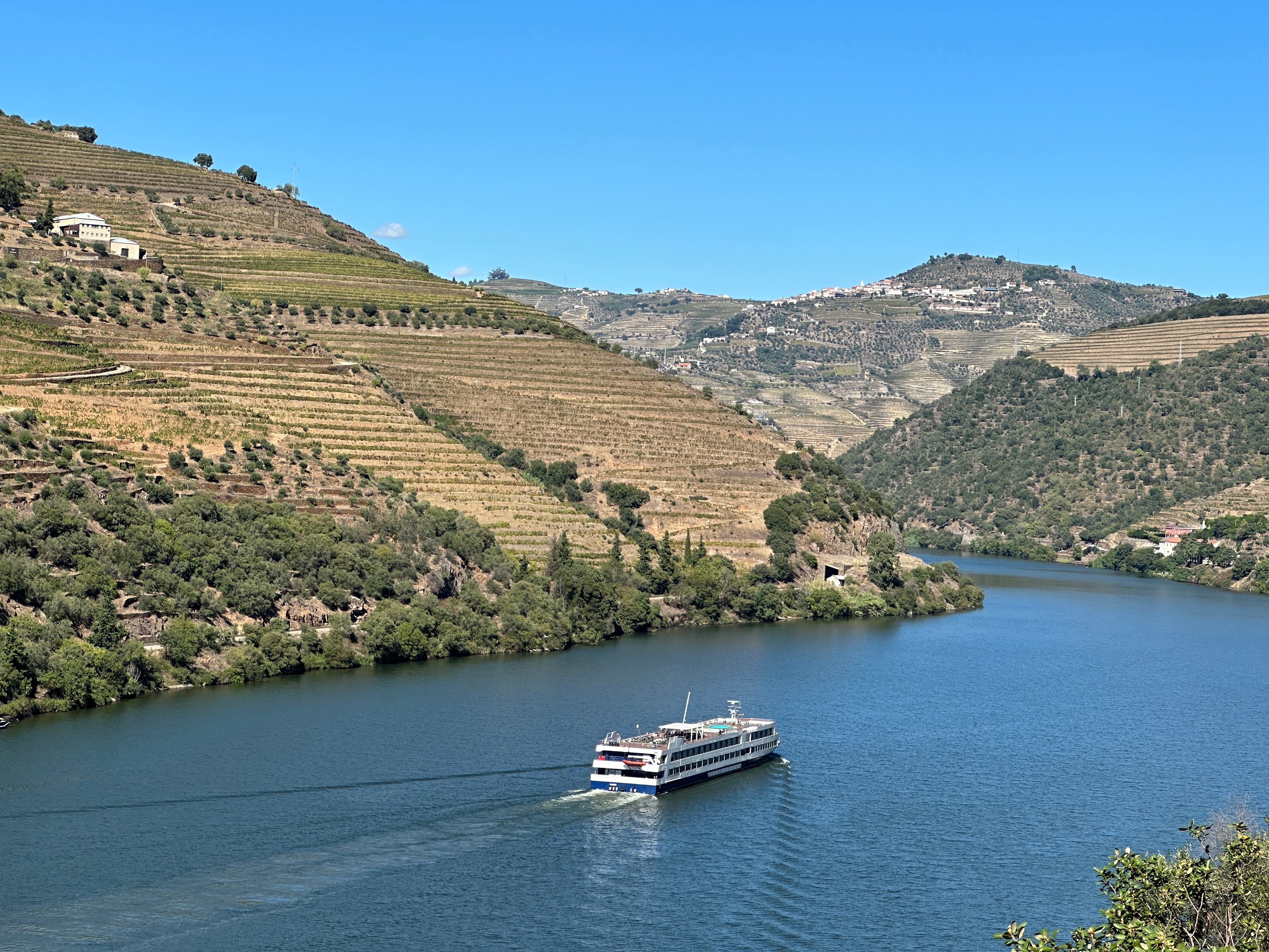 Douro flodferie med krydstogt mellem terrasserede vinbjerge i Portugal