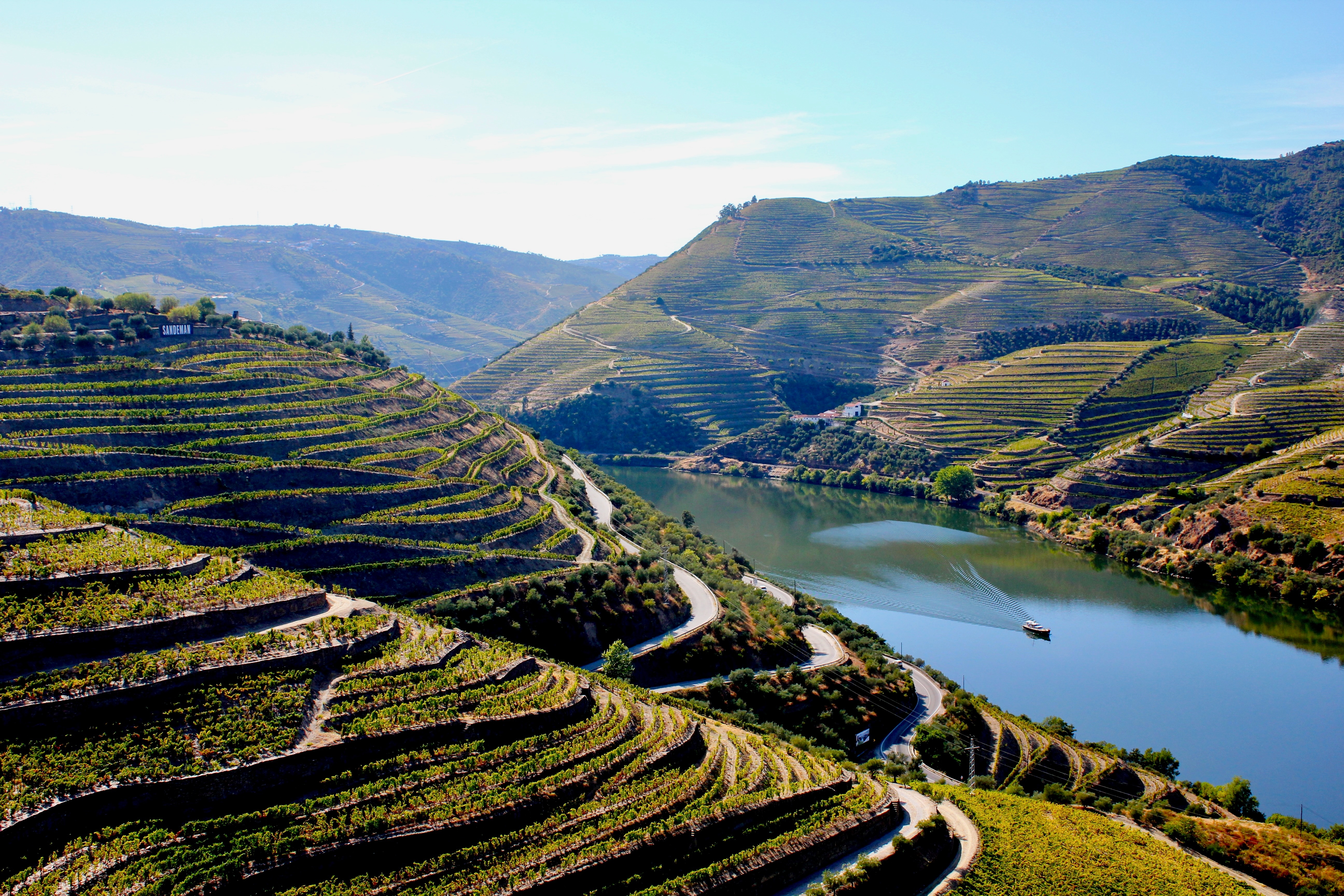 Maleriske vingårdsterrasser ved Douro-floden i Portugal
